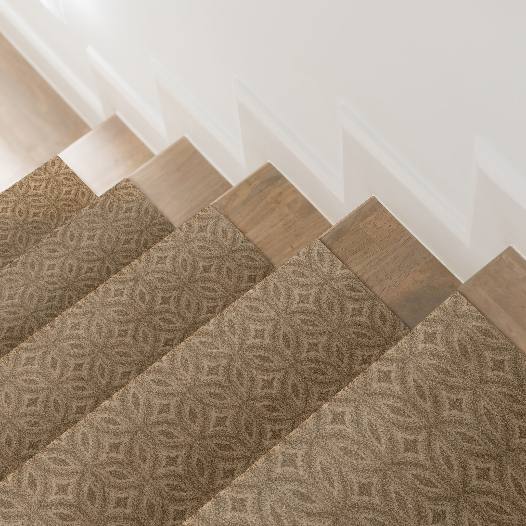 ENLIGHTENED WINDSWEPT ROOM