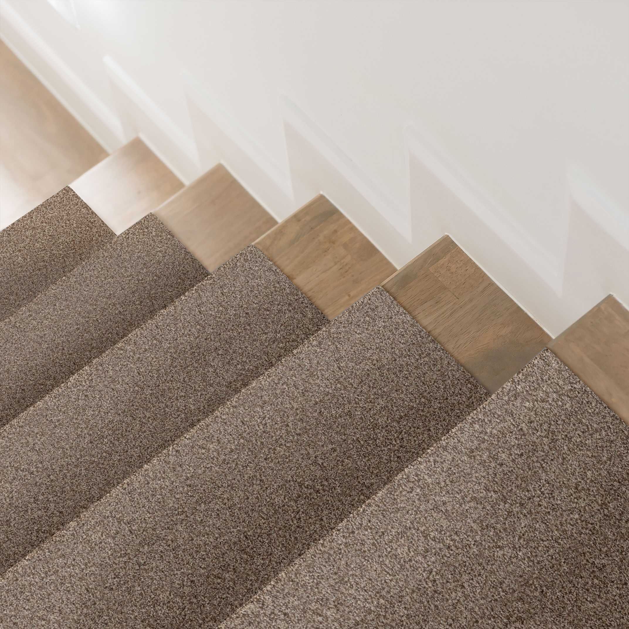 BOSSA NOVA ROASTED ROOM