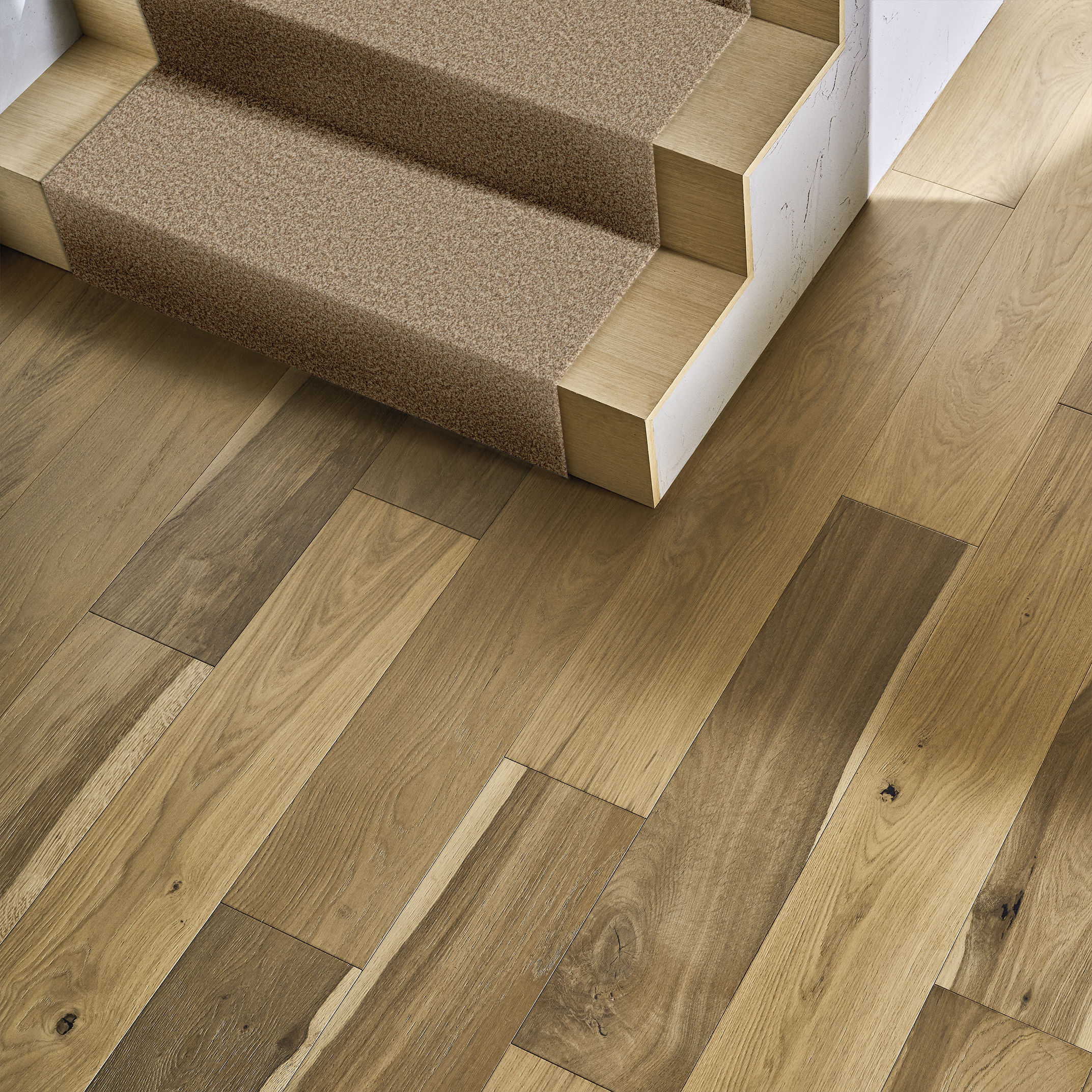 BOSSA NOVA NUTSHELL ROOM