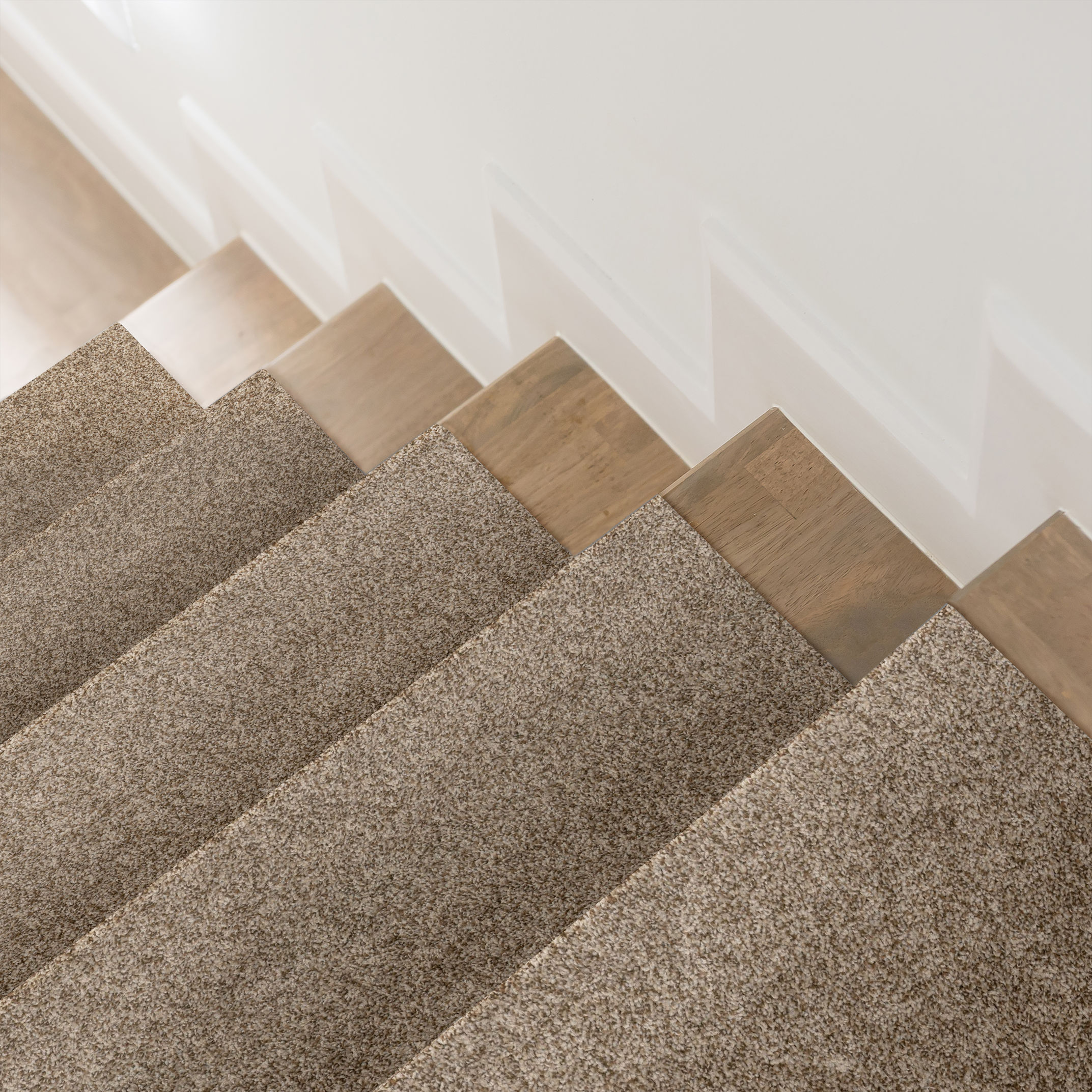 VIA NOVA ROASTED ROOM