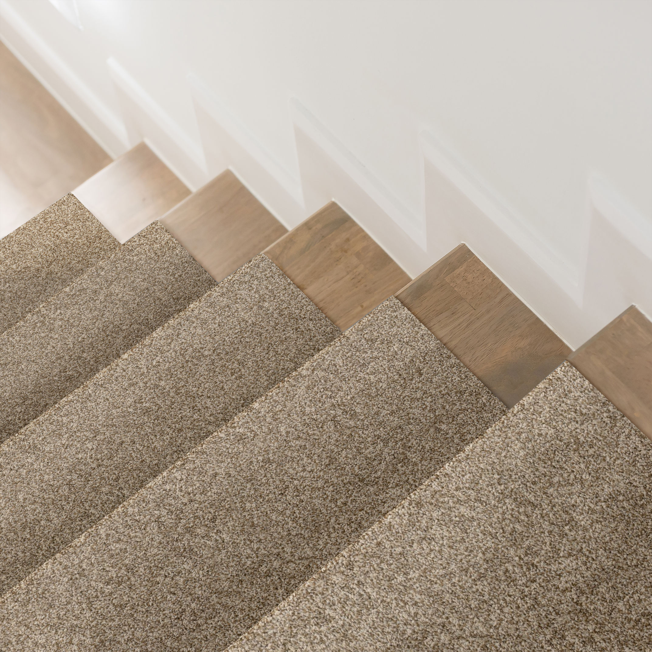 VIA NOVA LANDSCAPE ROOM