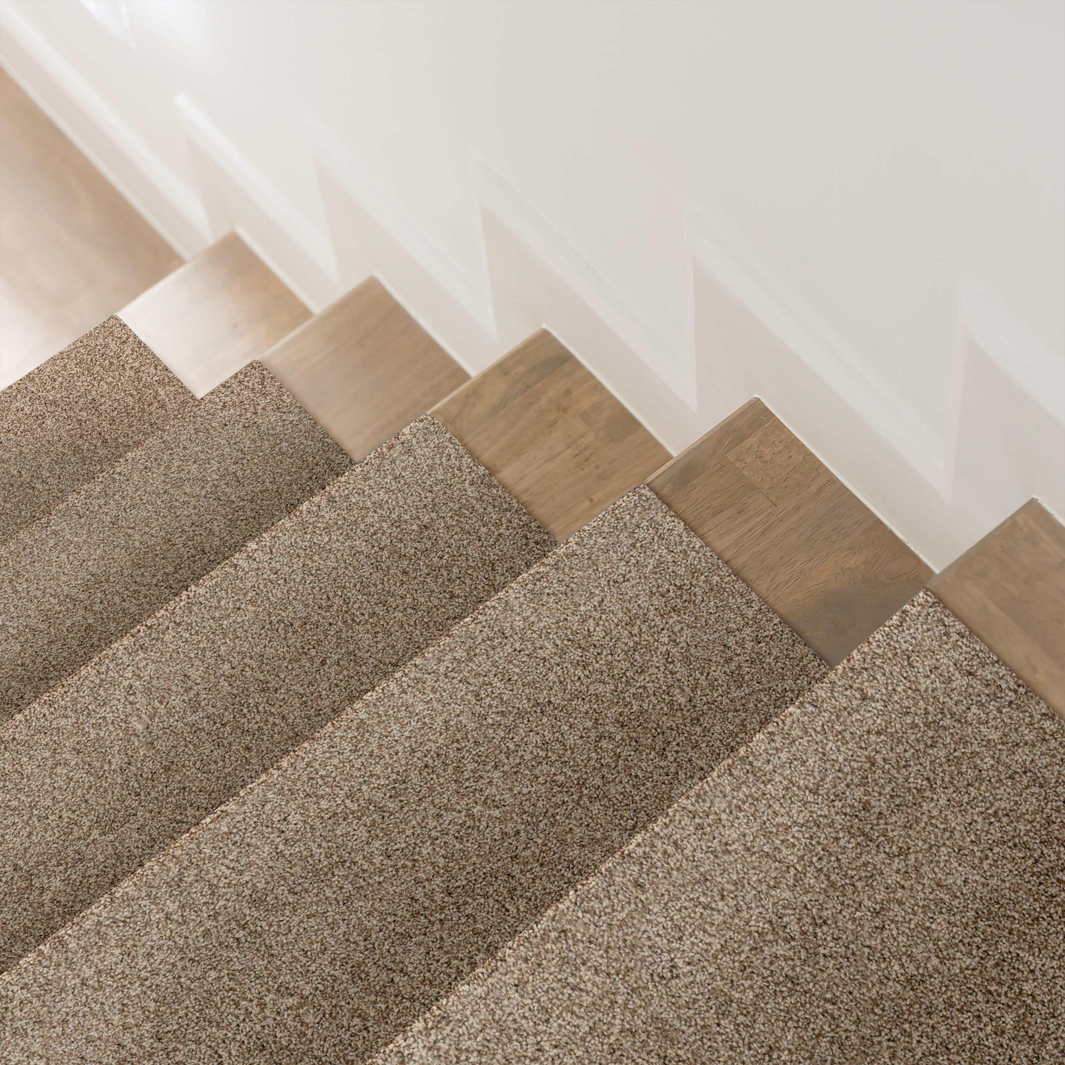 VIA NOVA NUTSHELL ROOM