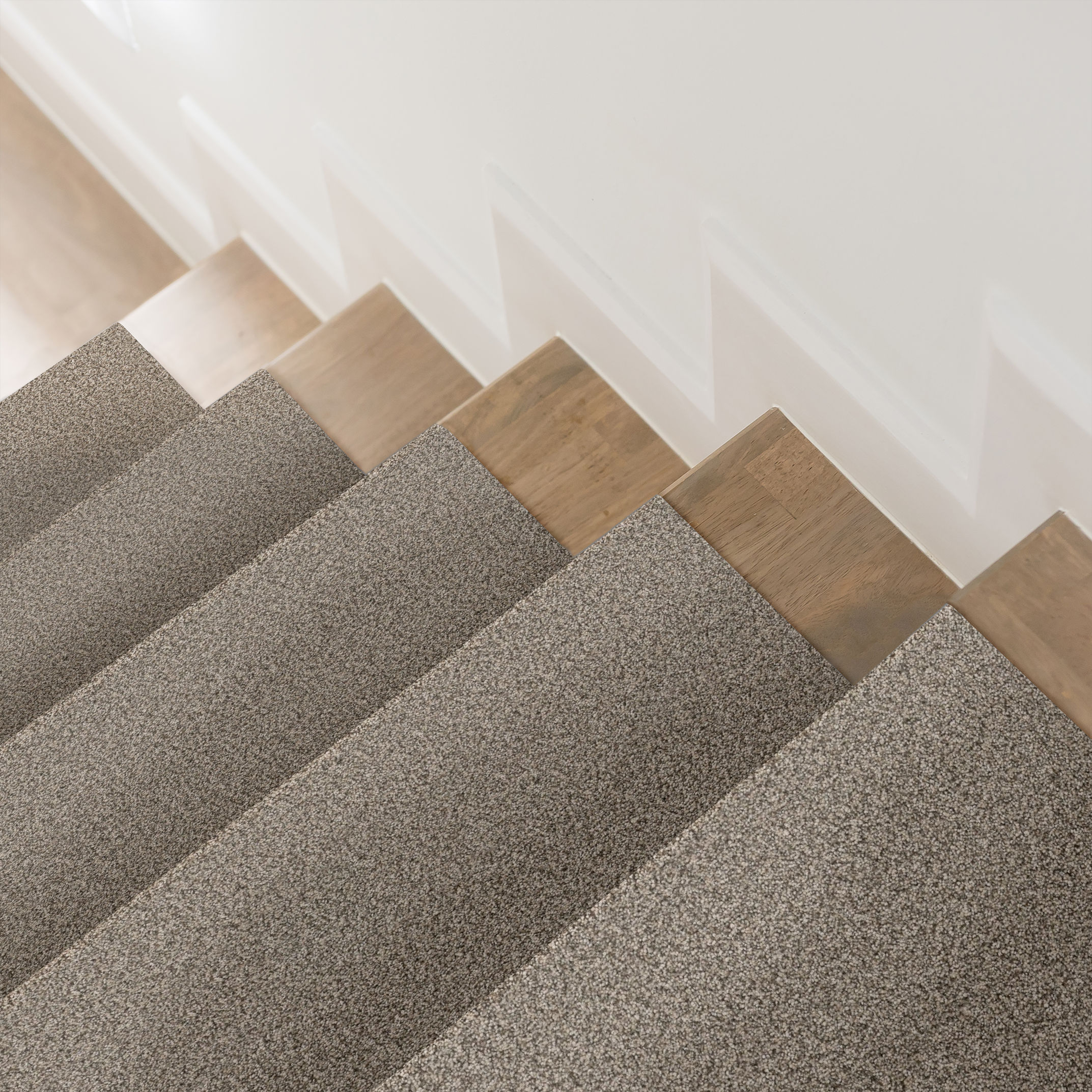 SOMERSET PASHMINA ROOM