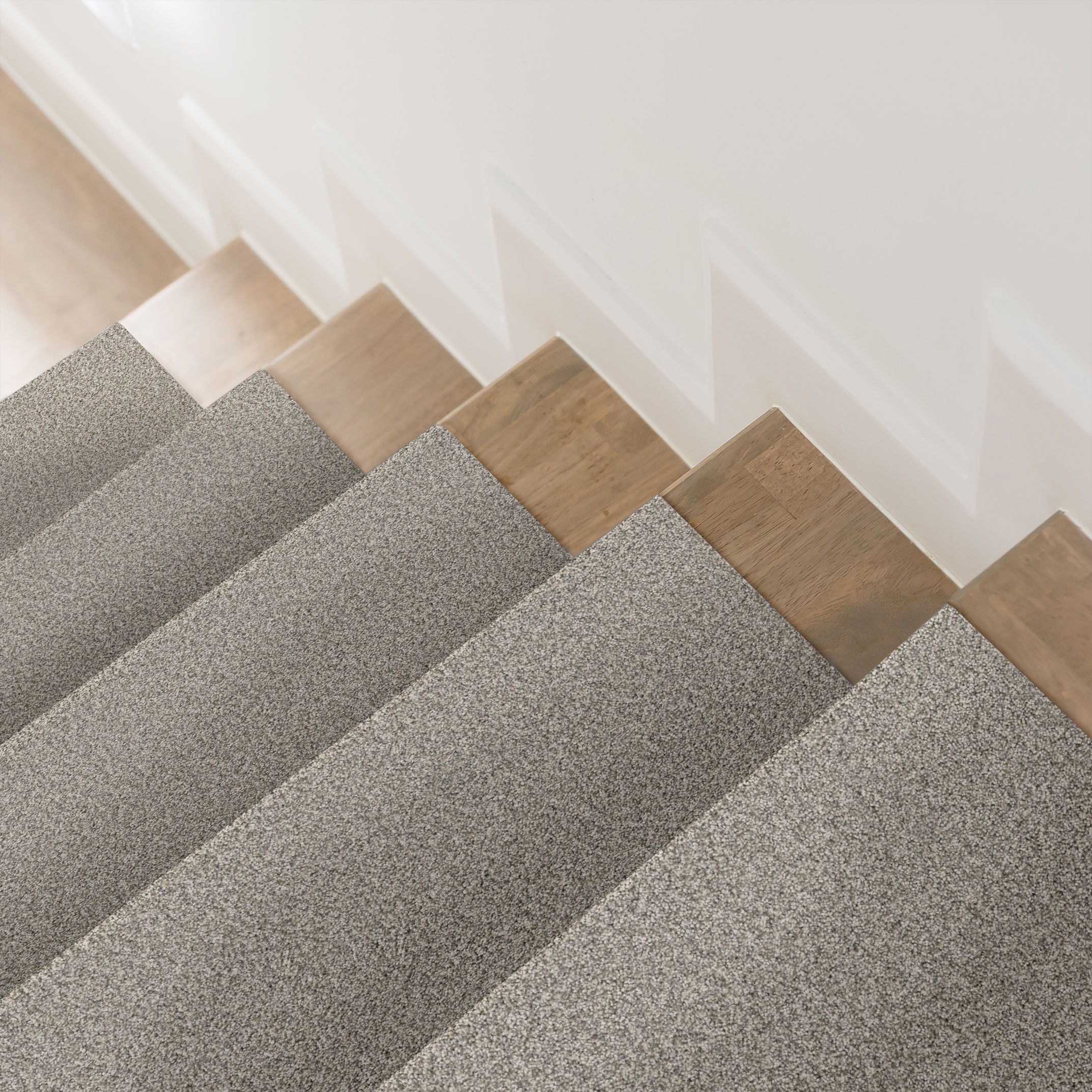 FABULOUS MOTH GRAY ROOM