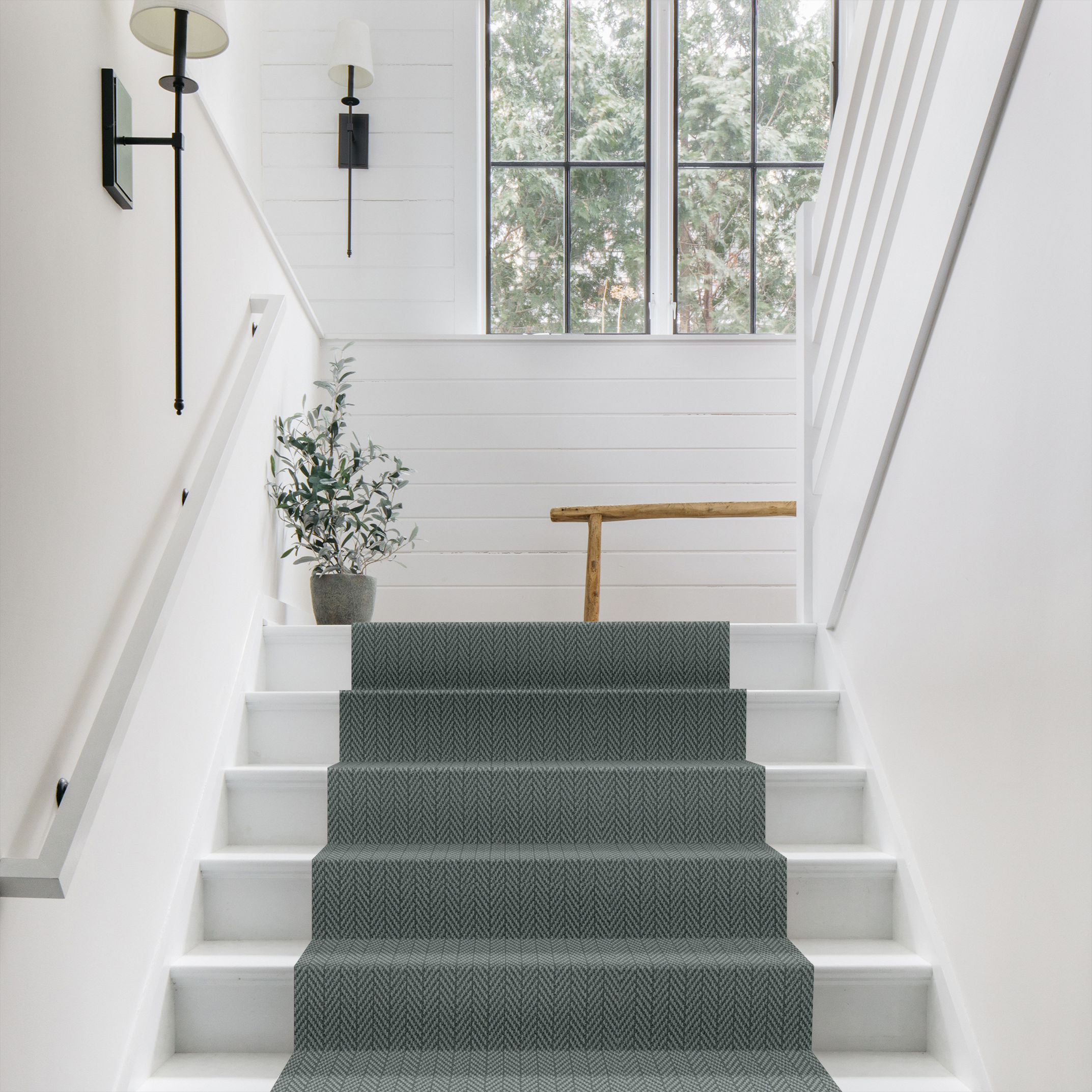 ALWAYS NATURAL BLUE FERN ROOM