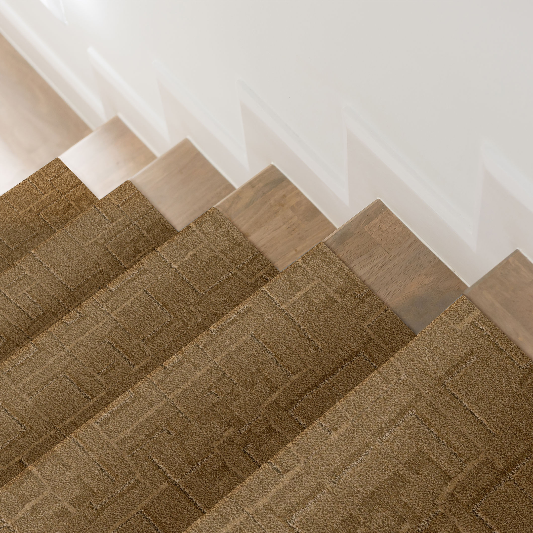 PATH AMBER WAVES ROOM