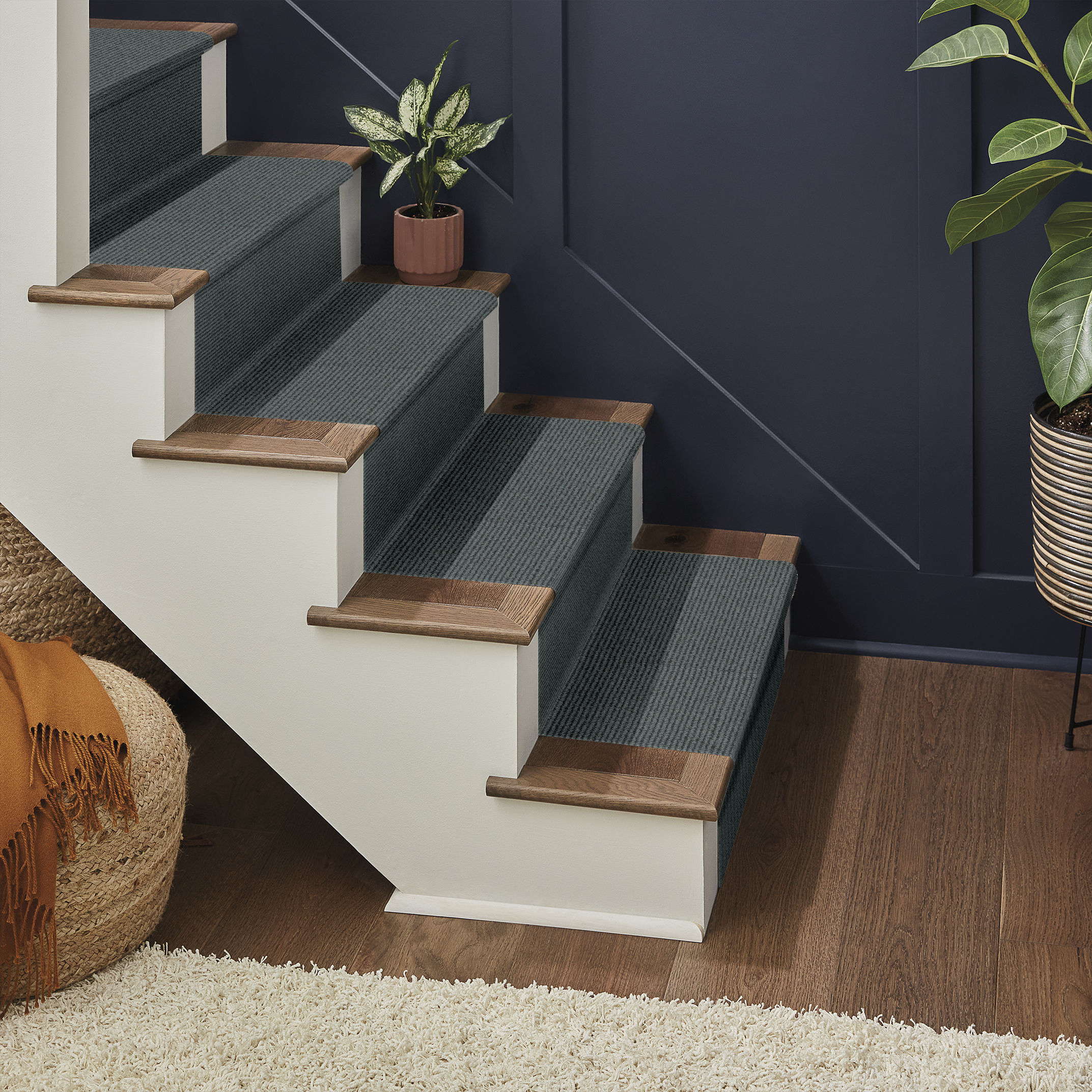 ALLURING SPRUCE ROOM