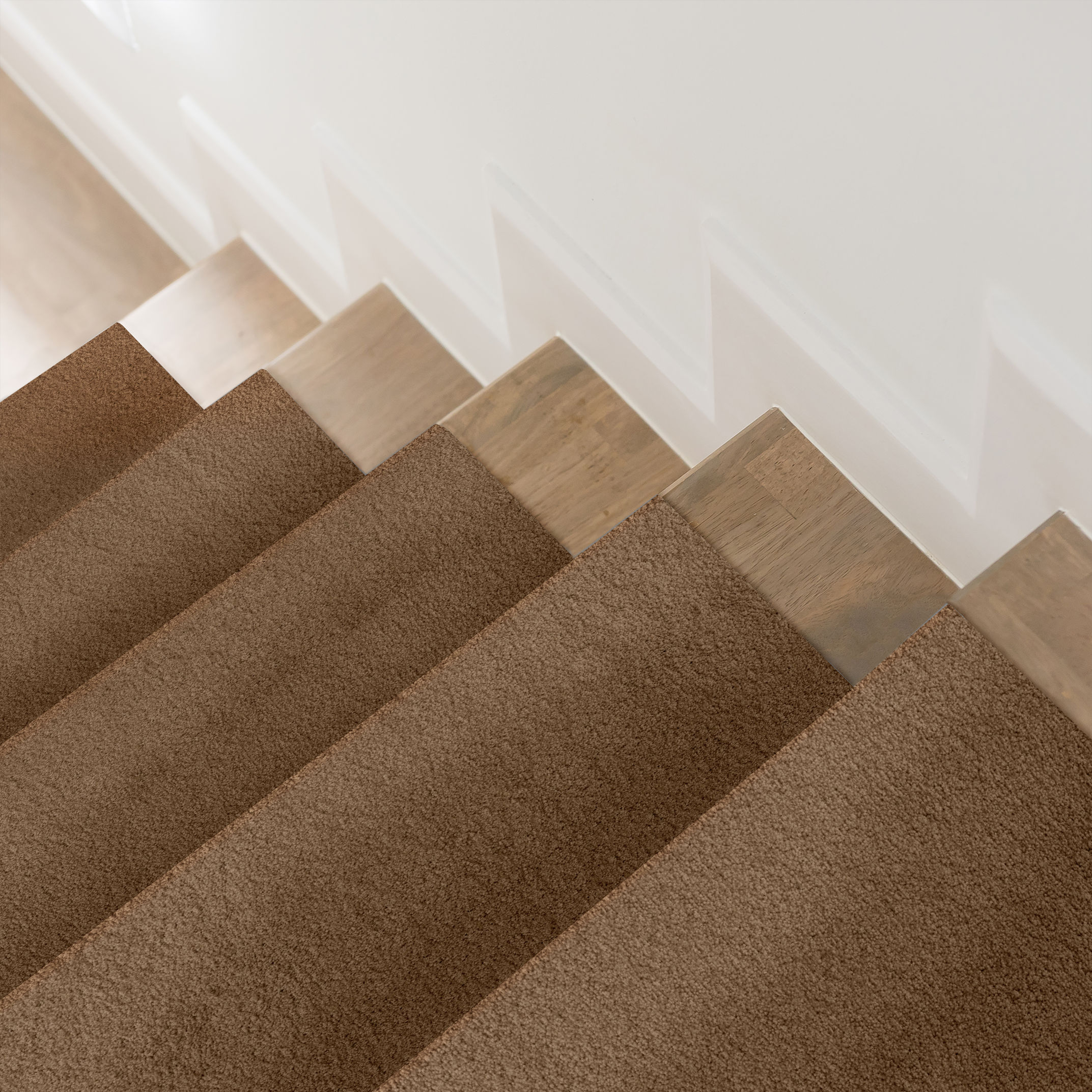 LUXE FEEL I DRIED CHAMOMILE ROOM