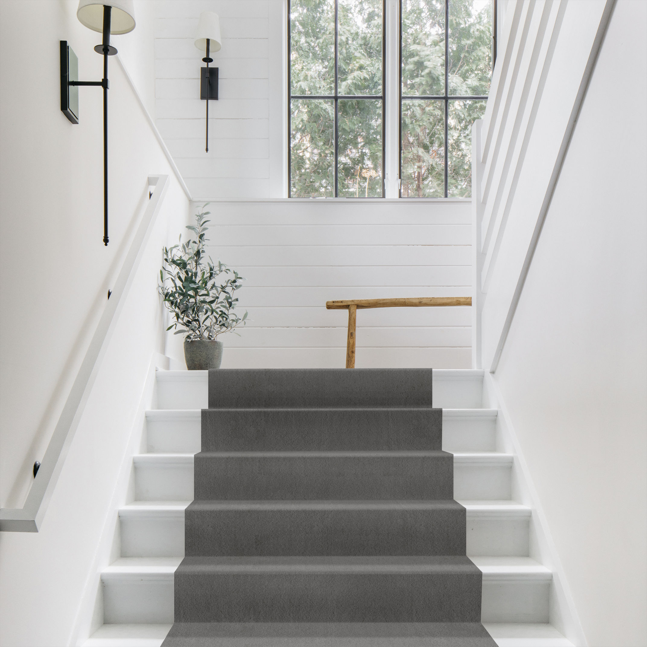 LUXE FEEL II HAZE ROOM