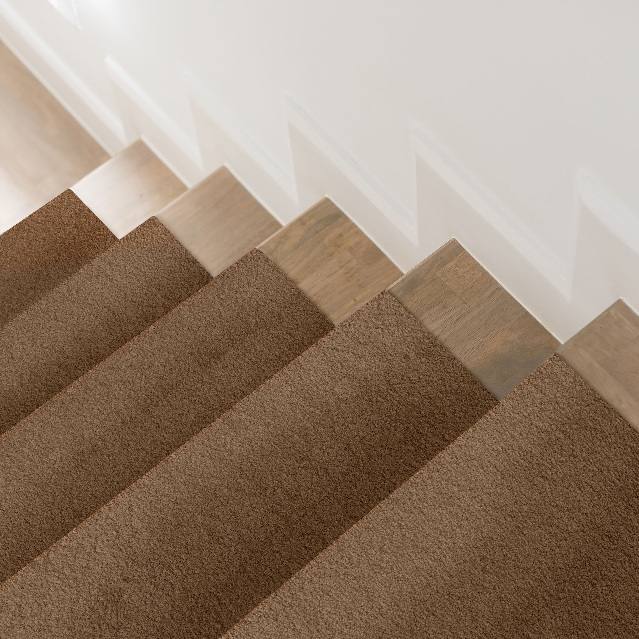 LUXE FEEL II DRIED CHAMOMILE ROOM