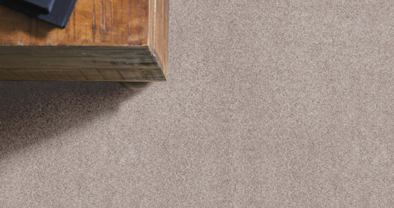 Sumptuous I - 100% ANSO® High Performance Nylon in First Sumptuous I - 100% ANSO® High Performance Nylon in First