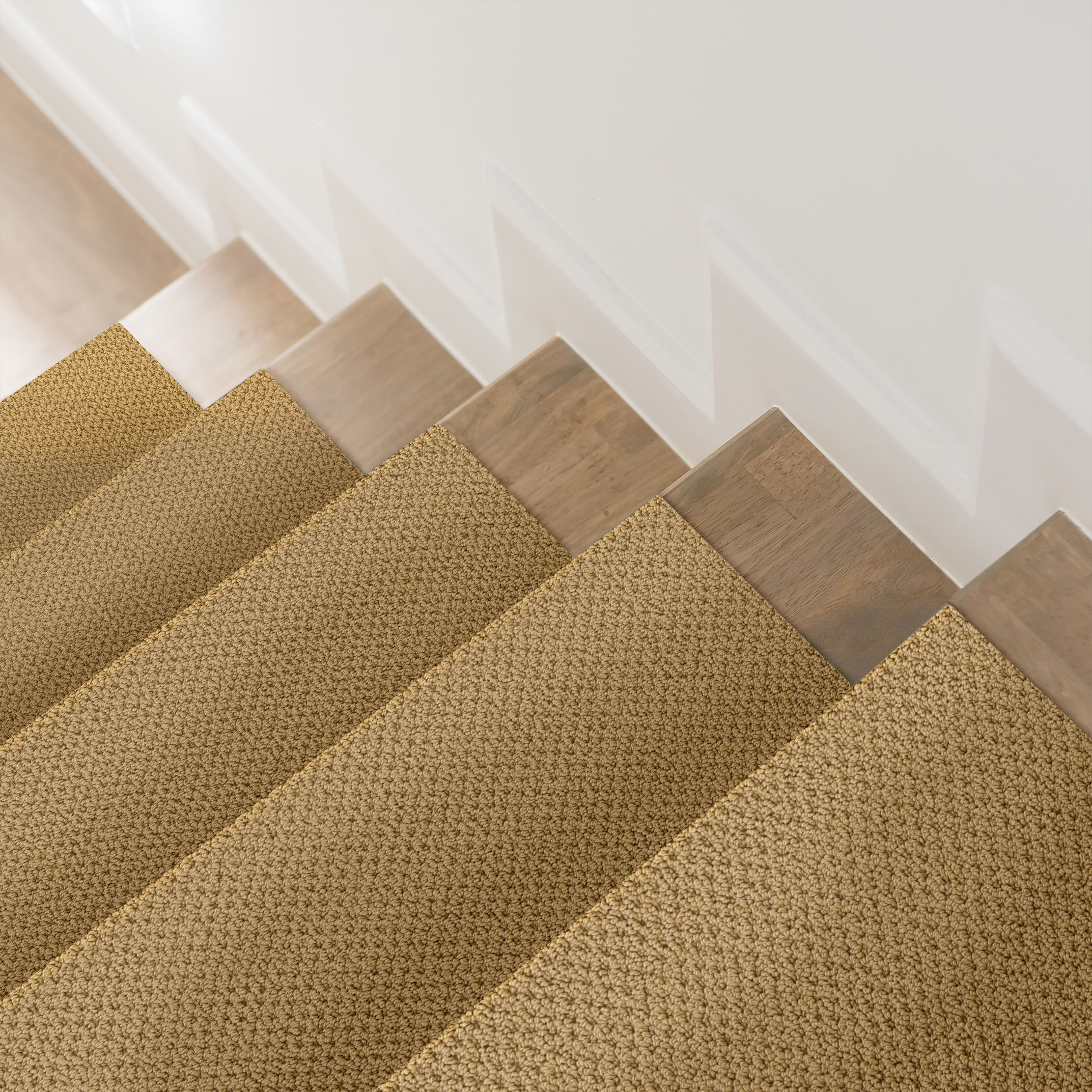 GRACIOUS SUMMER ROOM