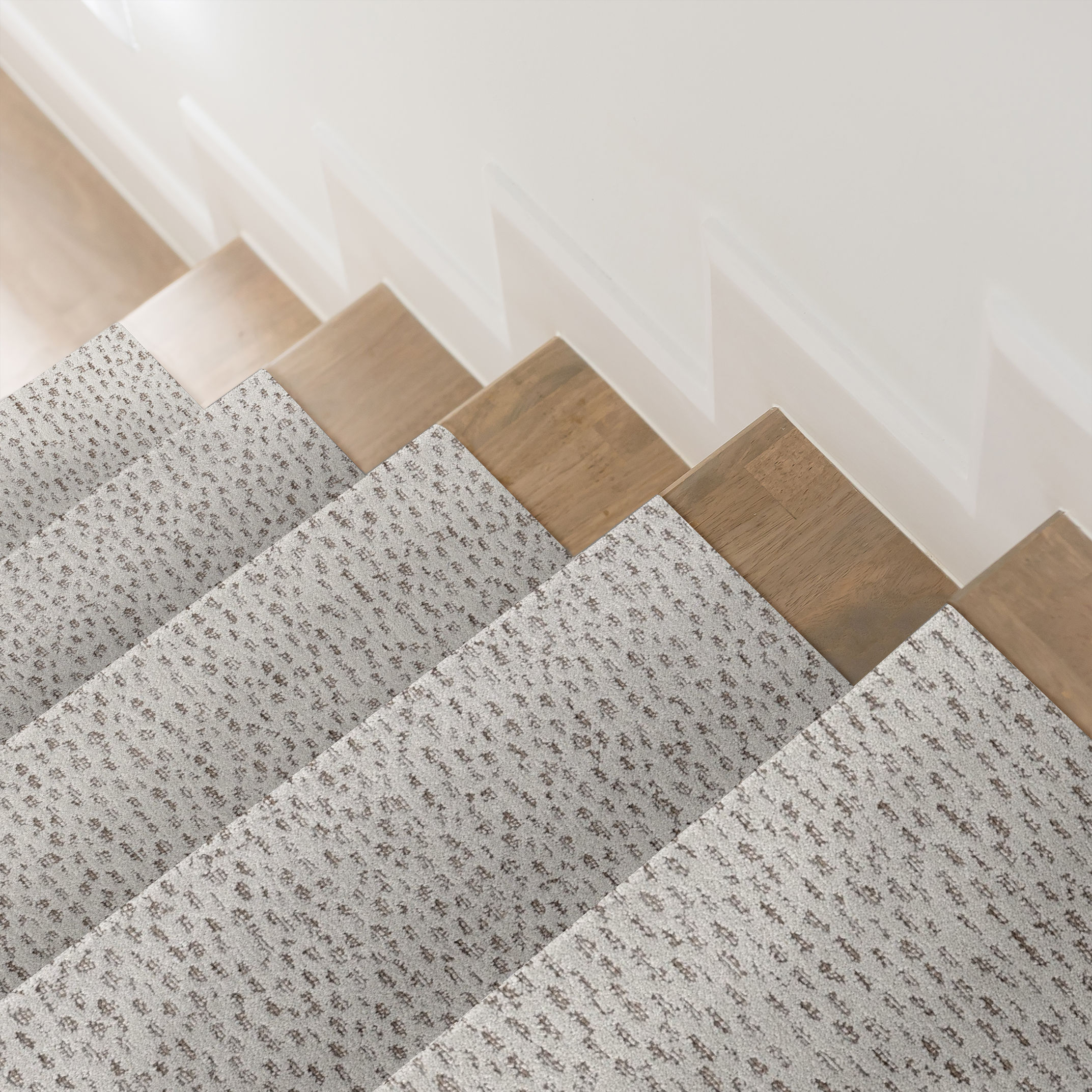 AMBITIOUS GREY FOX ROOM