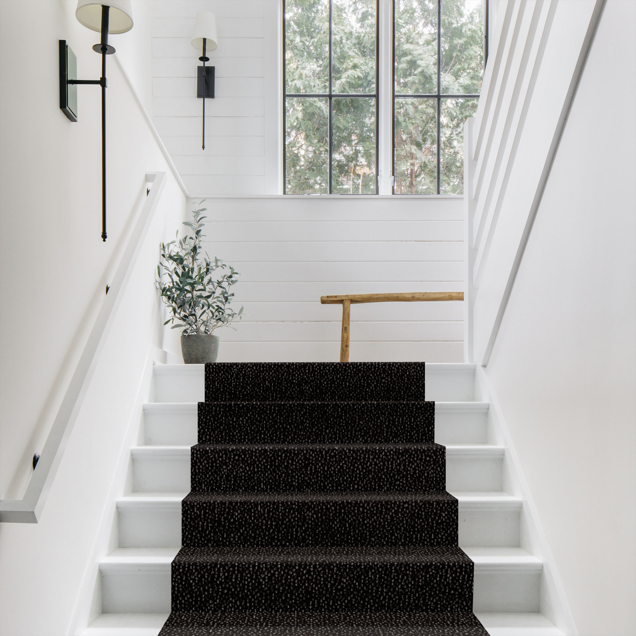 AMBITIOUS CHARCOALS ROOM