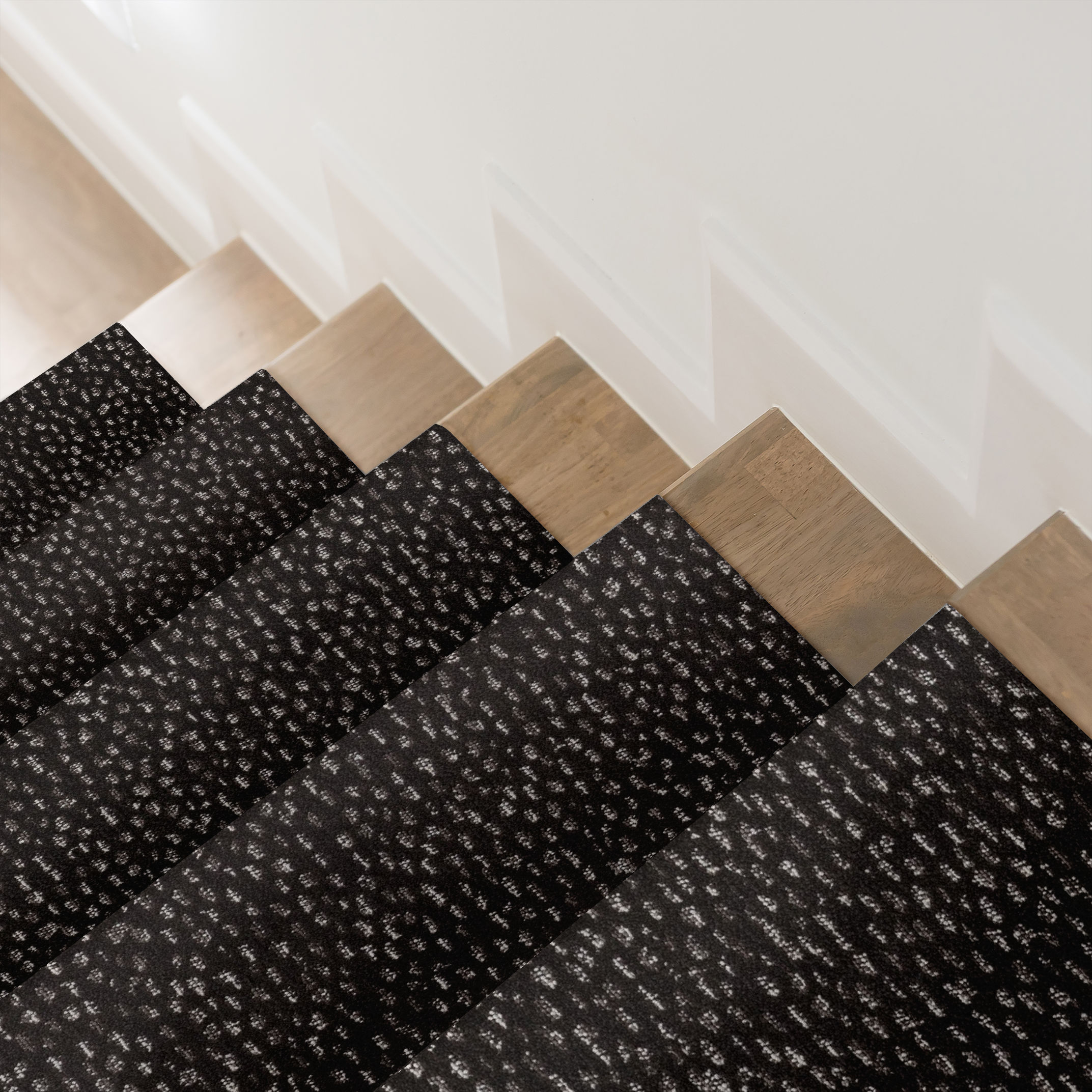 AMBITIOUS CHARCOALS ROOM