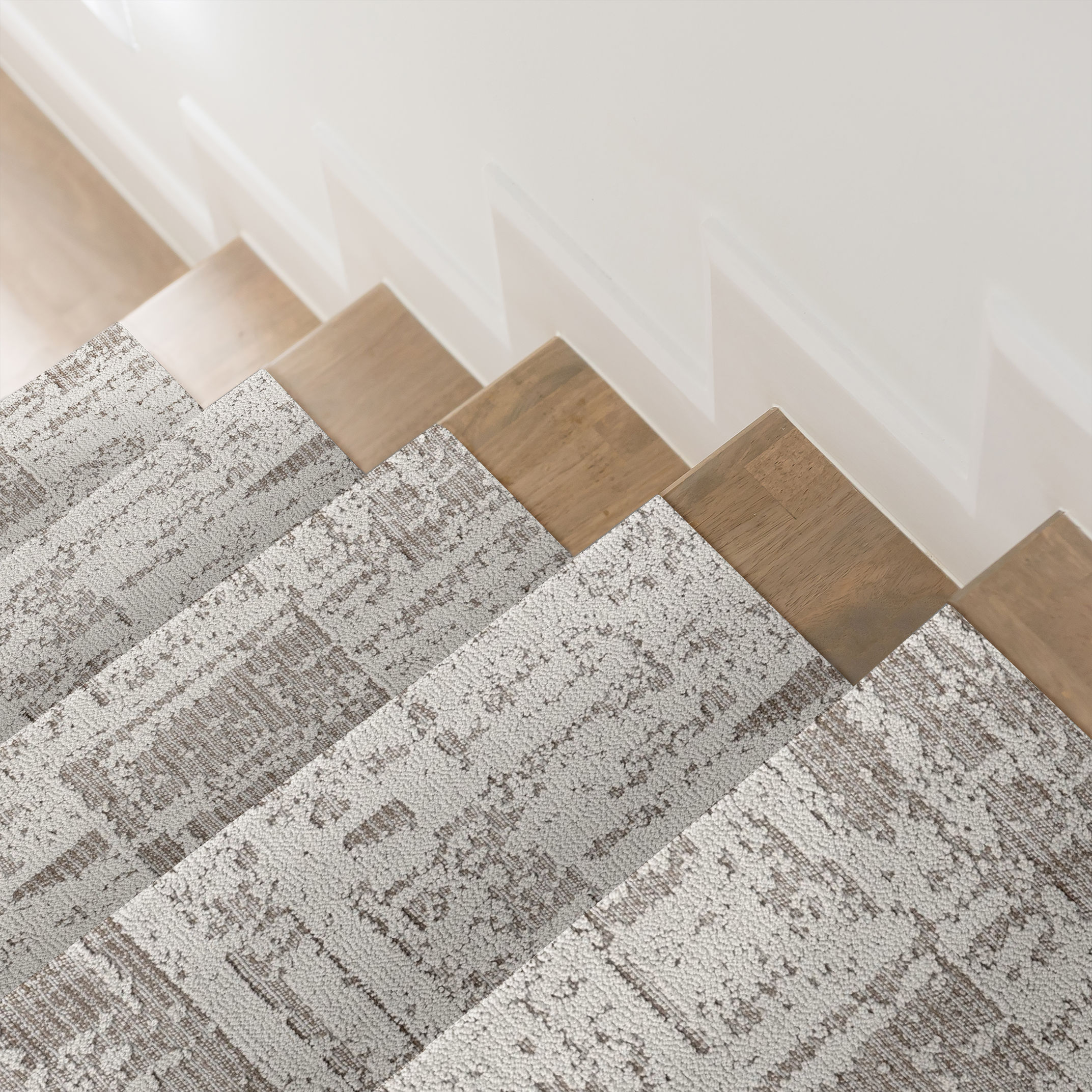 DISCOVER GREY FOX ROOM