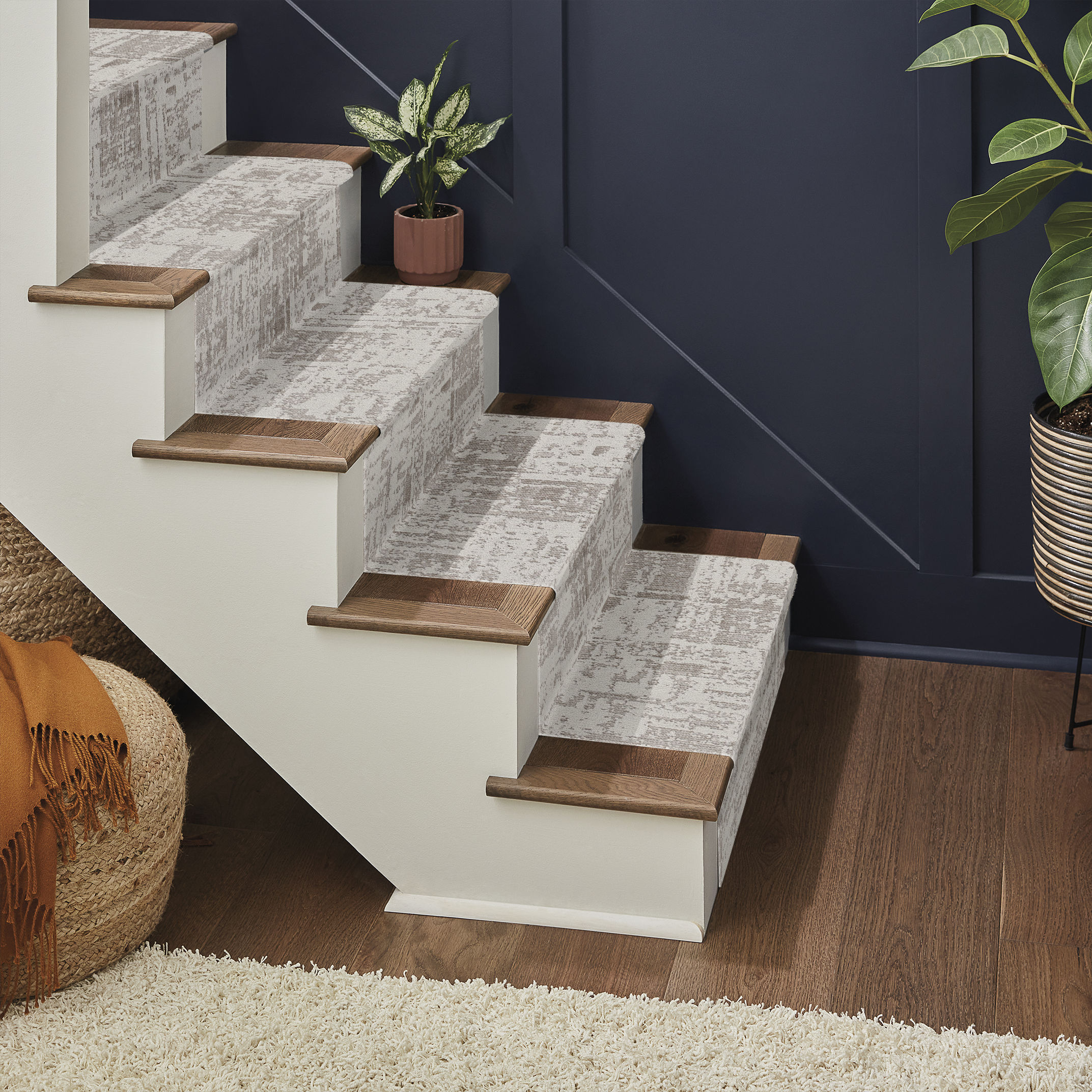 DISCOVER GREY FOX ROOM