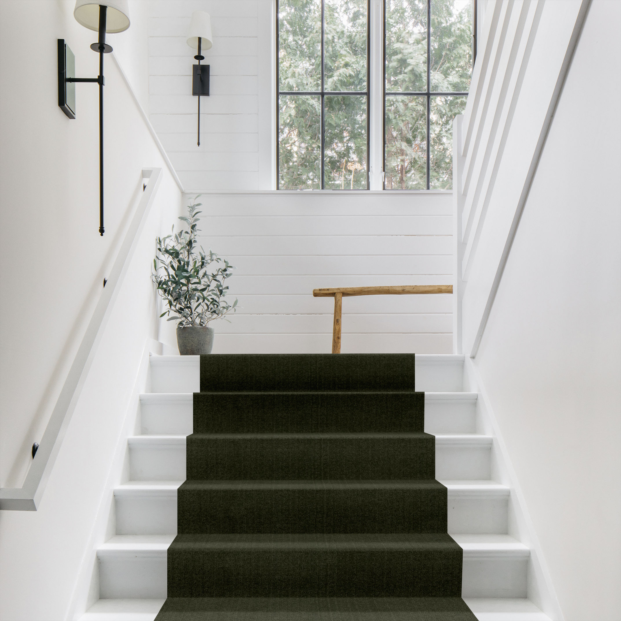 VIGNETTE OLIVE TREE ROOM