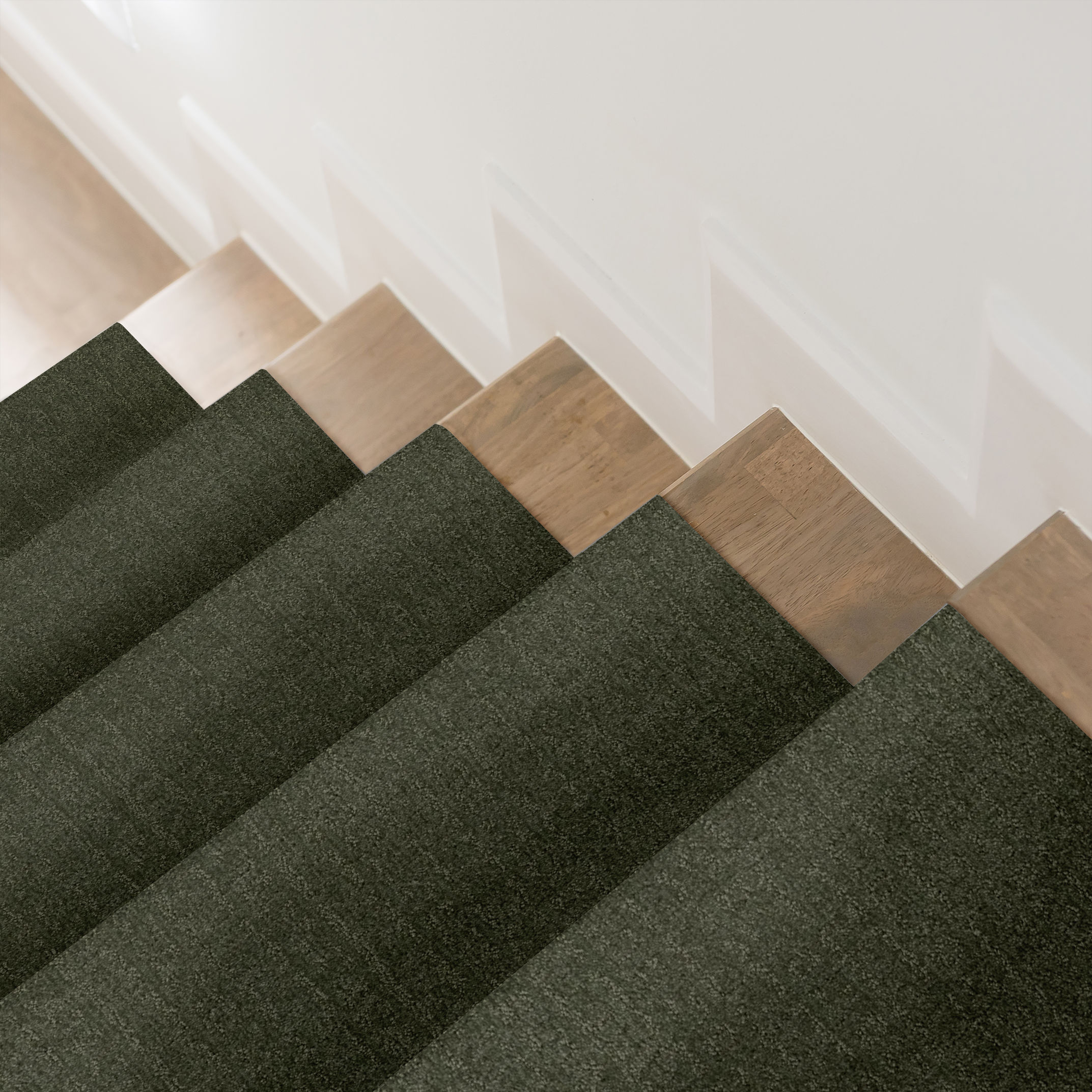 VIGNETTE OLIVE TREE ROOM