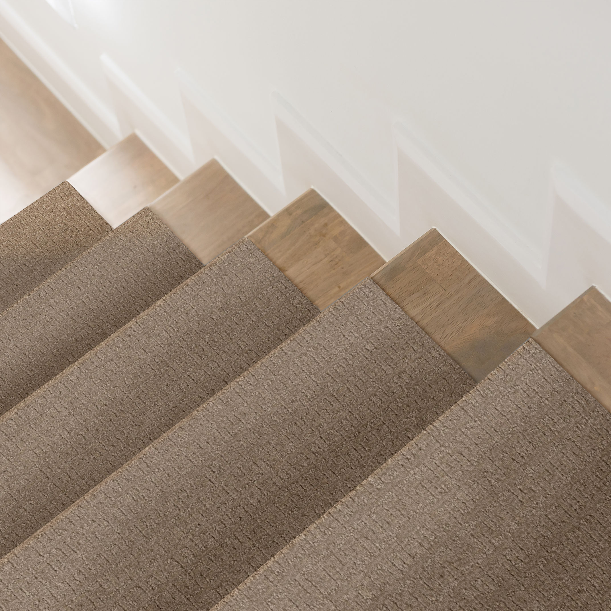 VIGNETTE OXFORD TAN ROOM