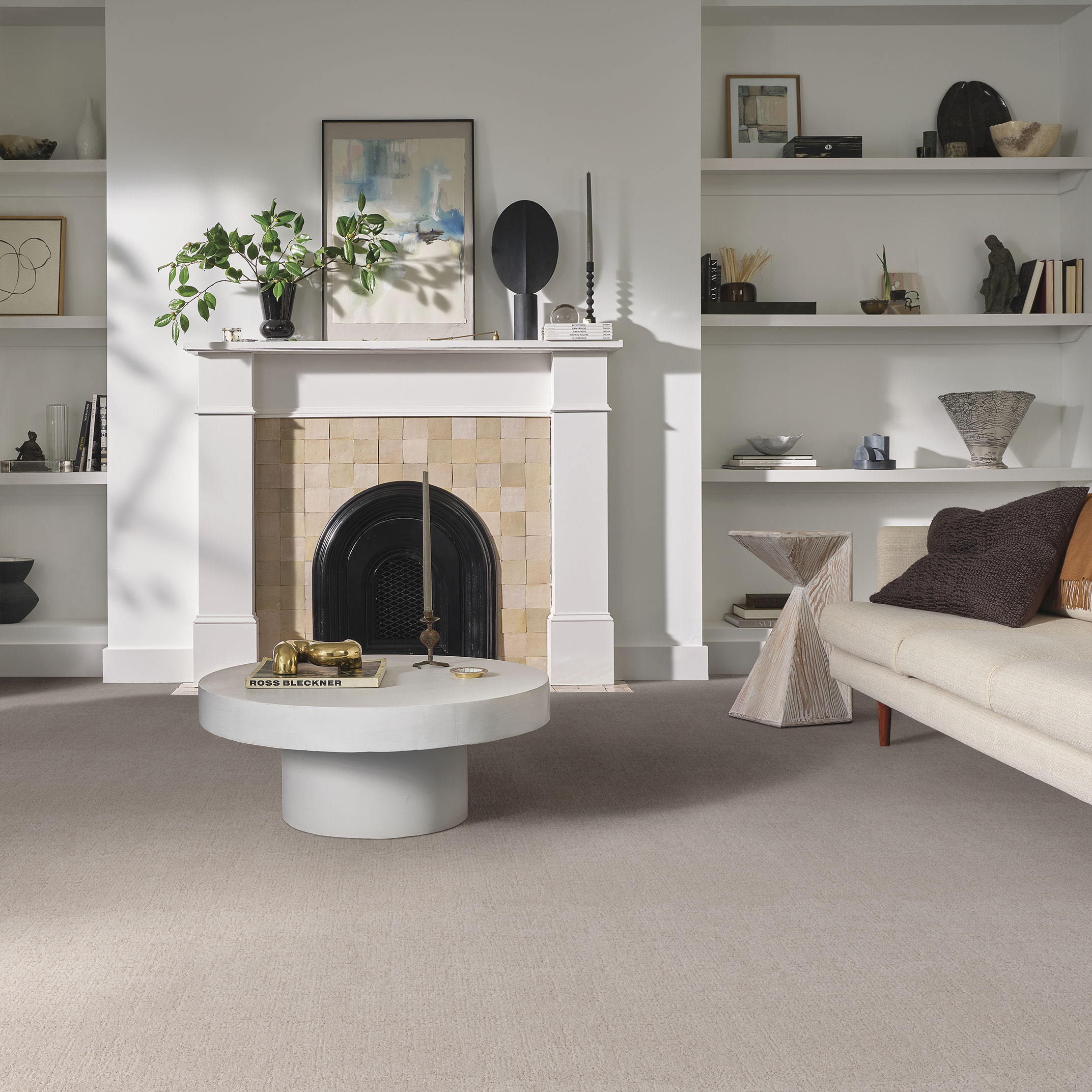 Indulgent - Carpet & Rugs in Whitewash | AndersonTuftex