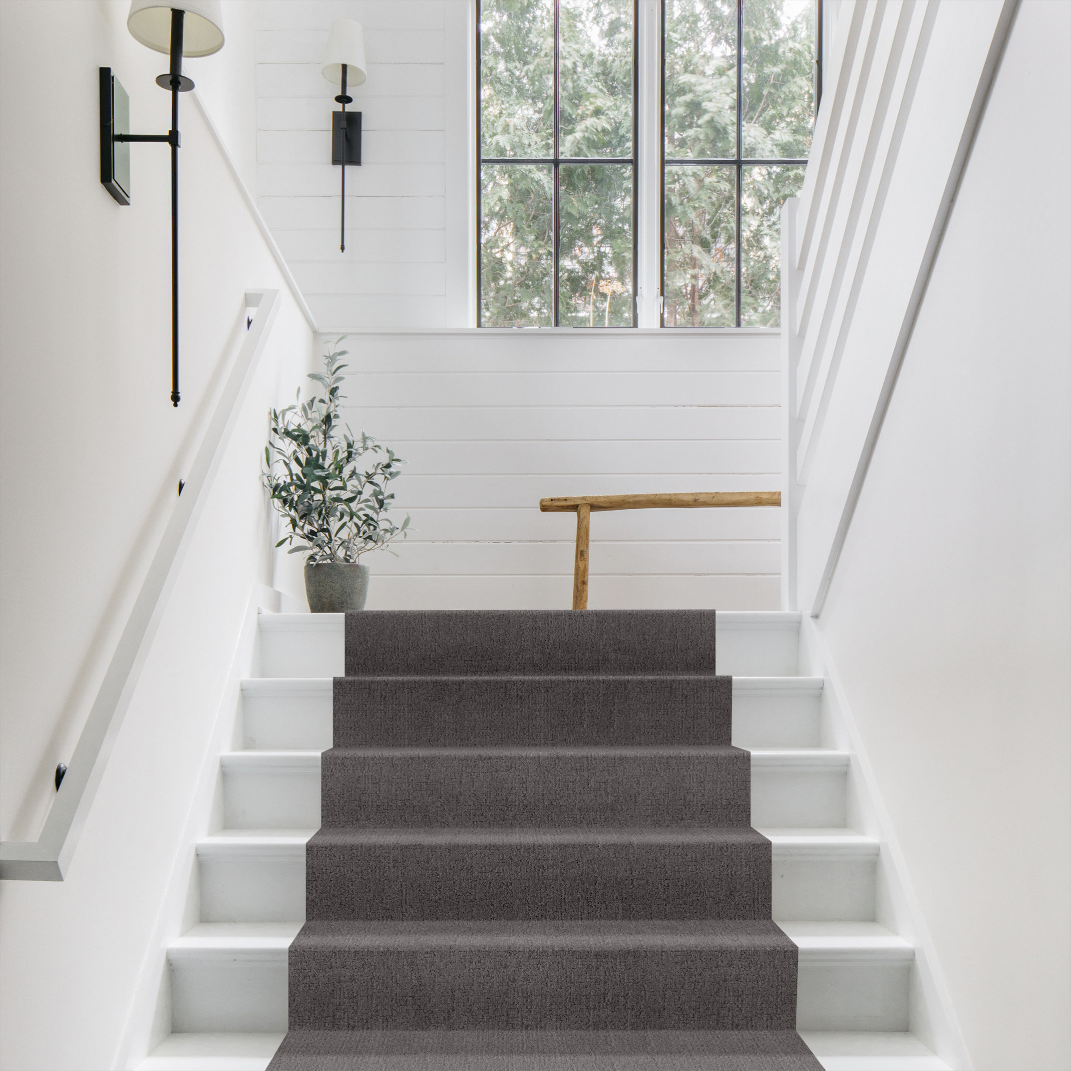 INDULGENT SUPERNOVA ROOM