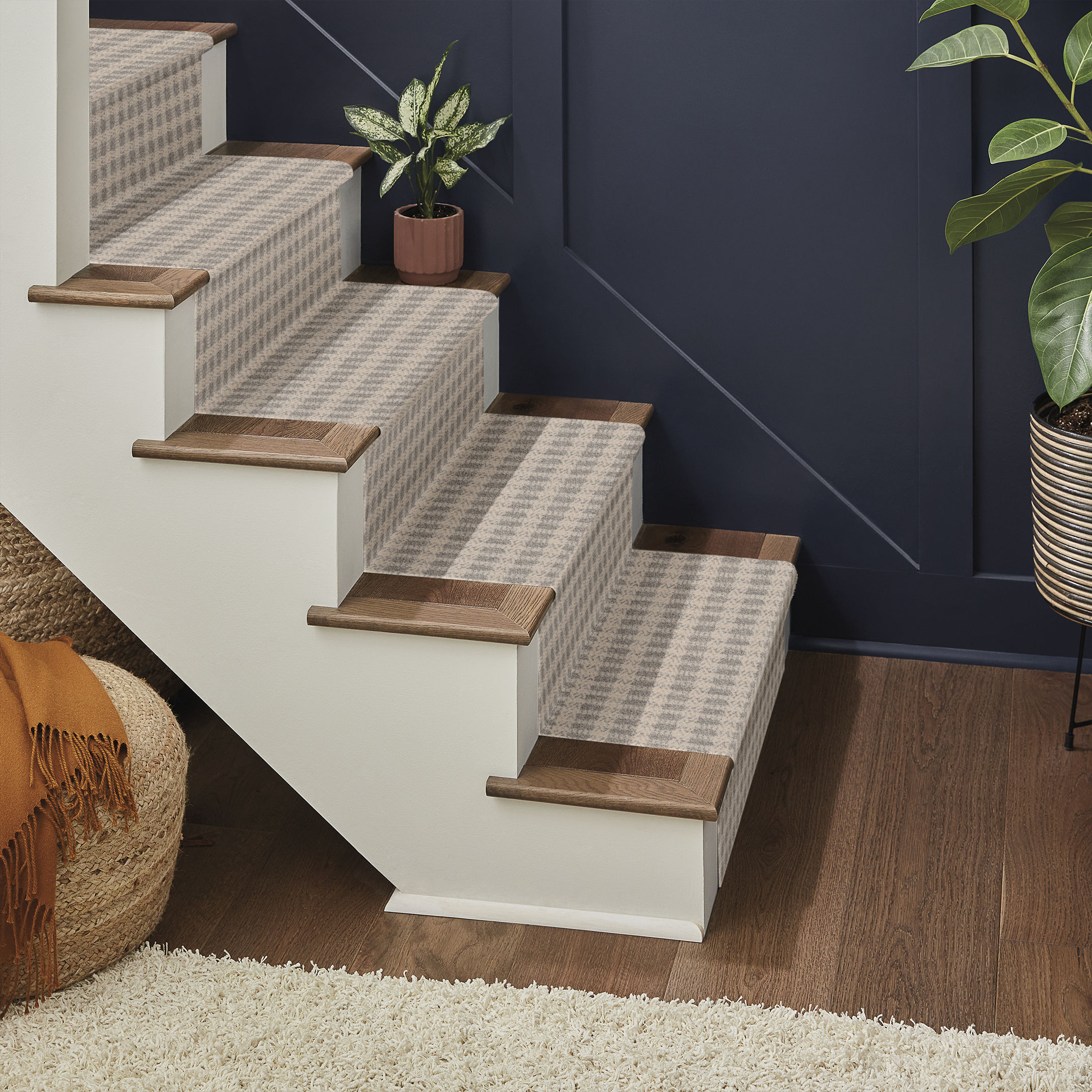 IMAGINATION SANCTUARY ROOM