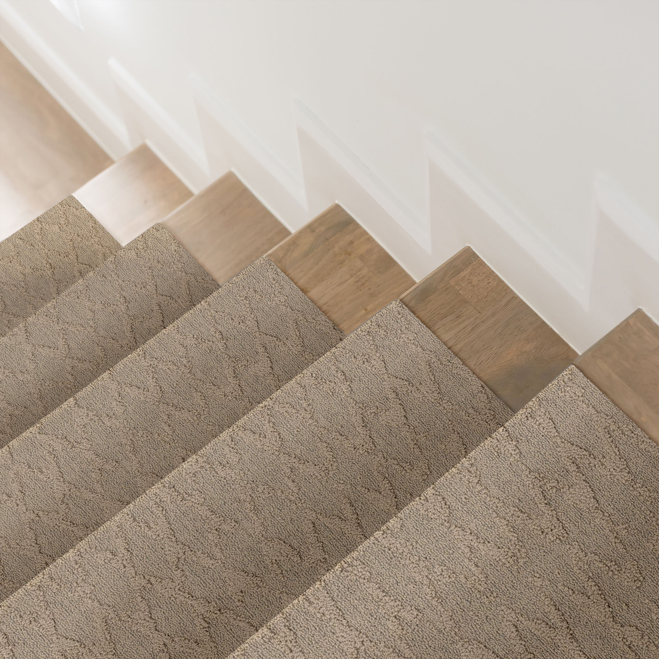 ILLUMINATION SILHOUETTE ROOM