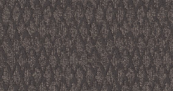 Illumination - 100% Anso ® High Performance Nylon in Luxury Illumination - 100% Anso ® High Performance Nylon in Luxury