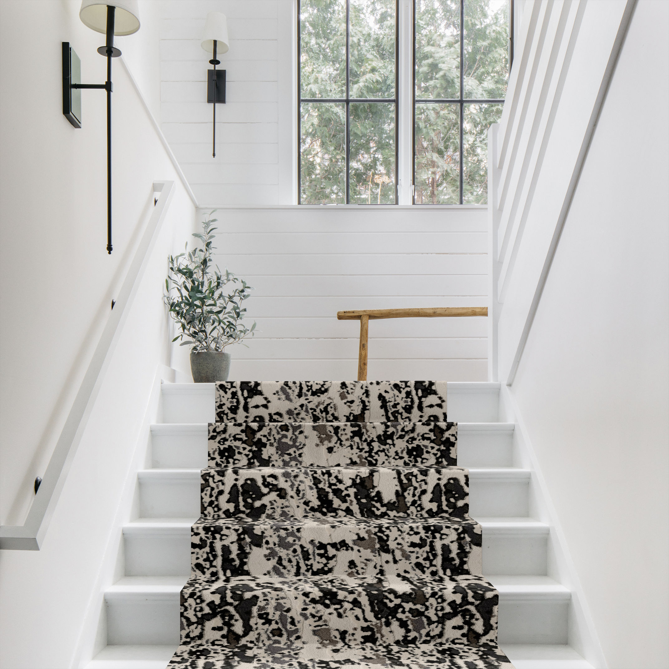 CARRERA MODERN VIBE ROOM