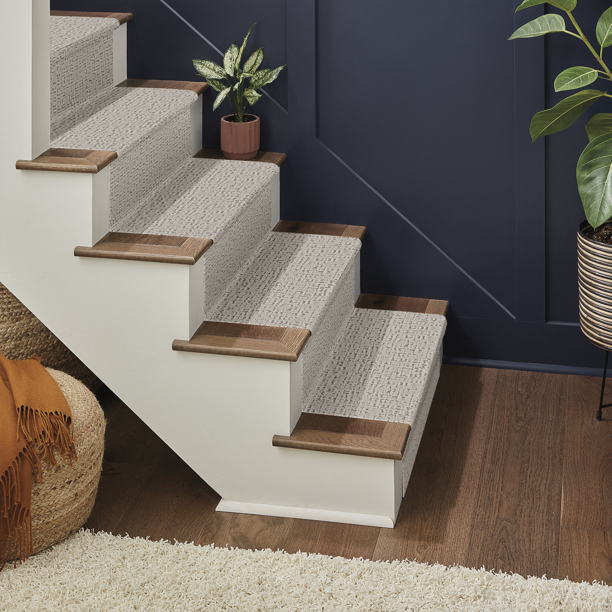 ADAIR SILVER FOX ROOM