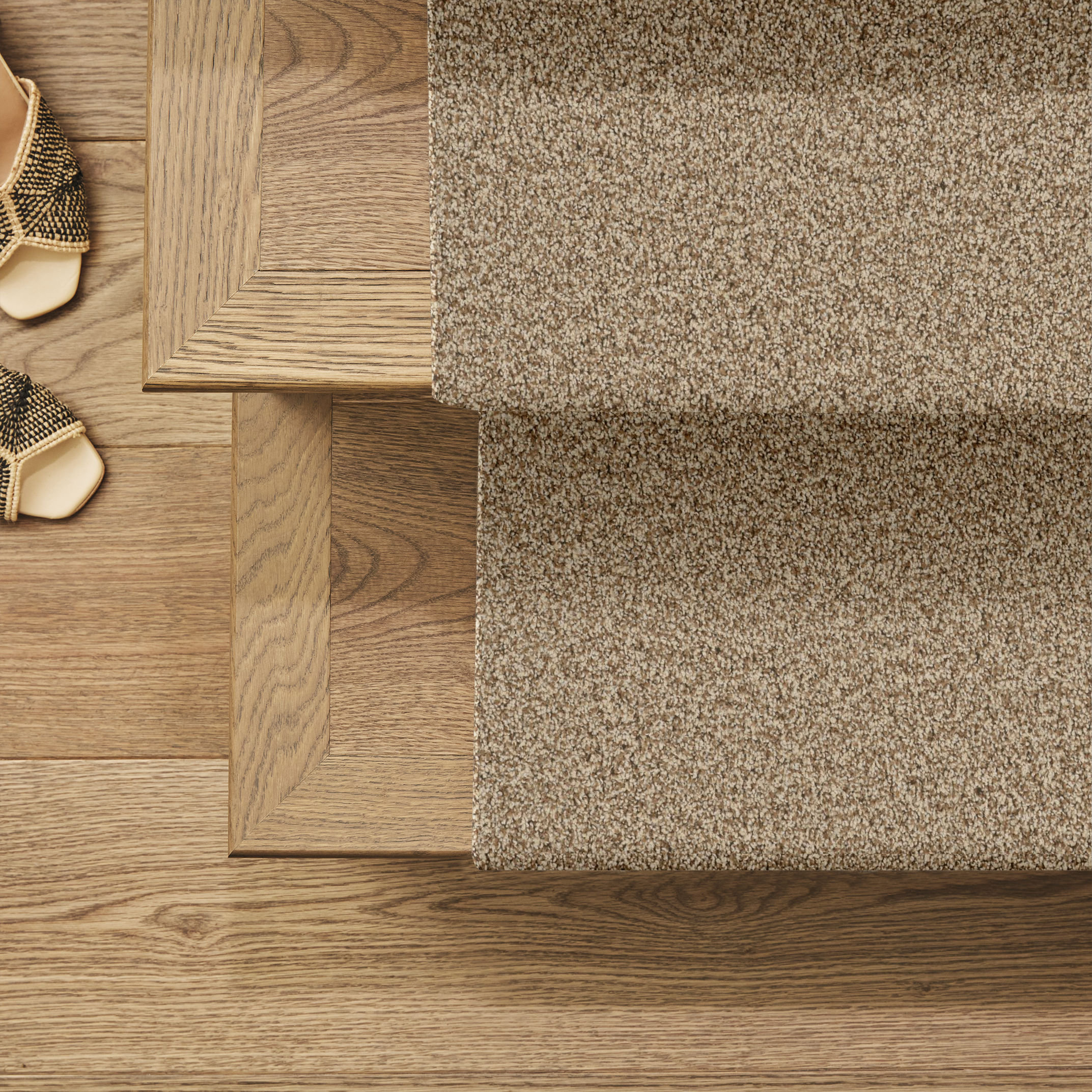 MIRA NOVA NUTSHELL ROOM