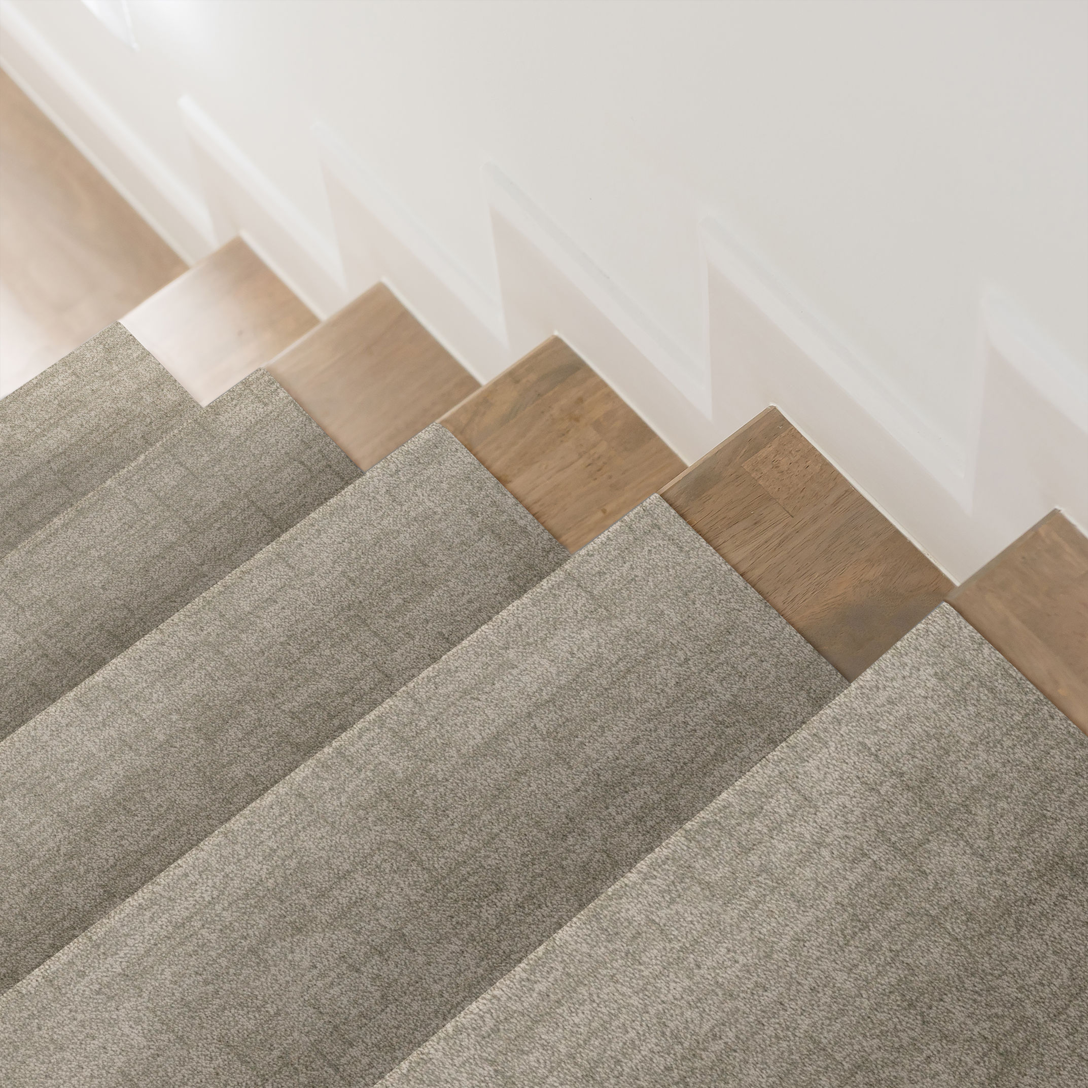 SILHOUETTE SAGEBRUSH ROOM