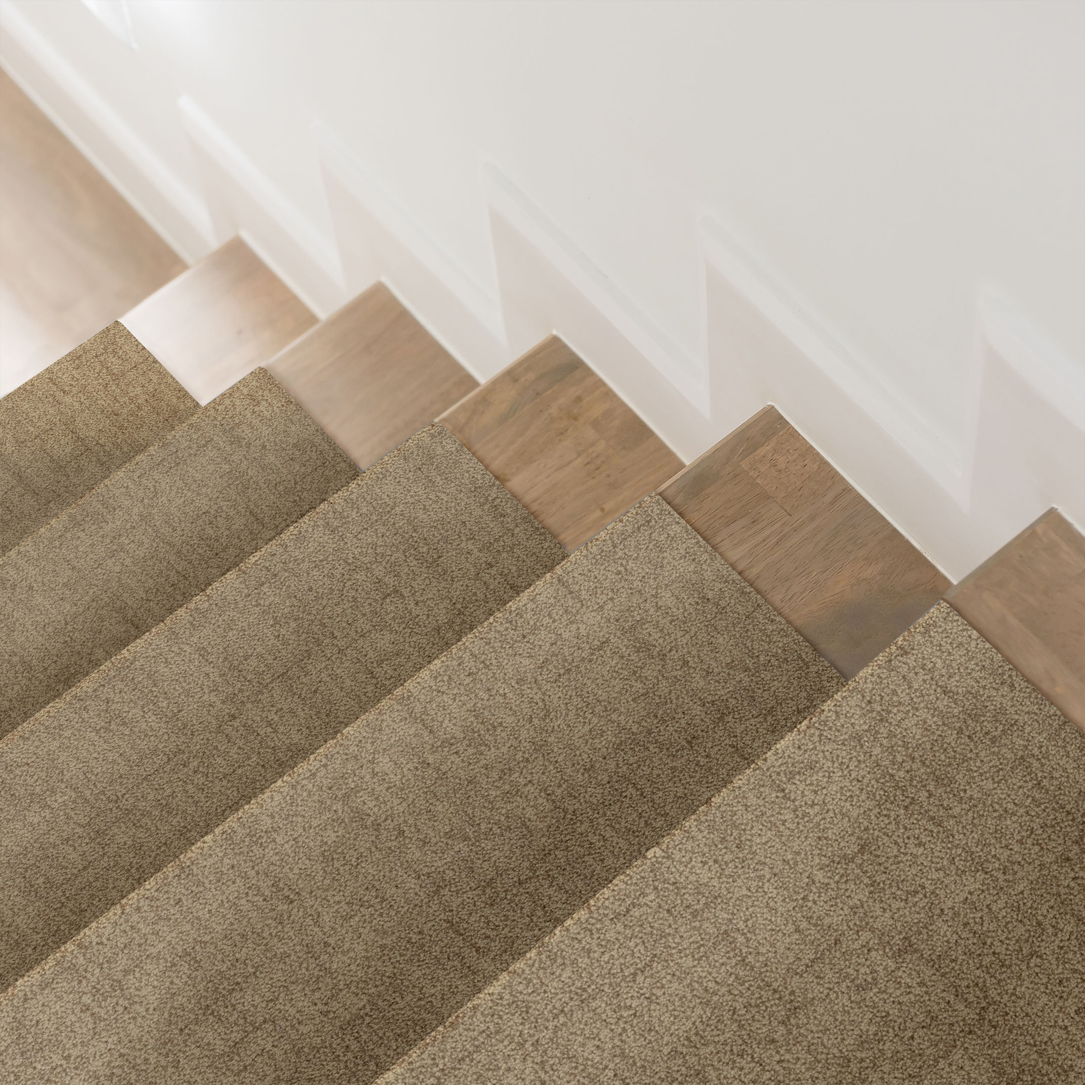 SILHOUETTE CANYON ROOM