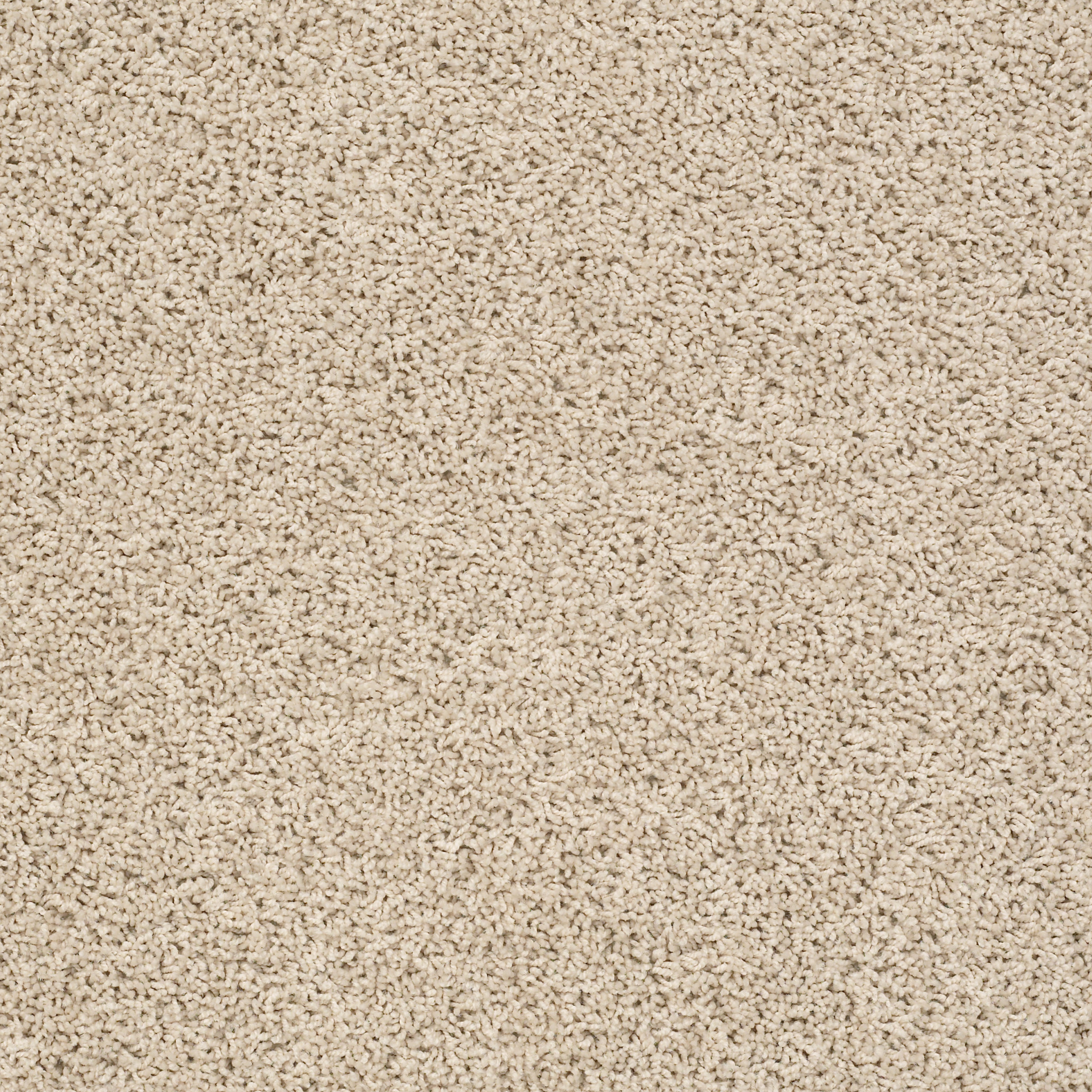 Brushed Ivory