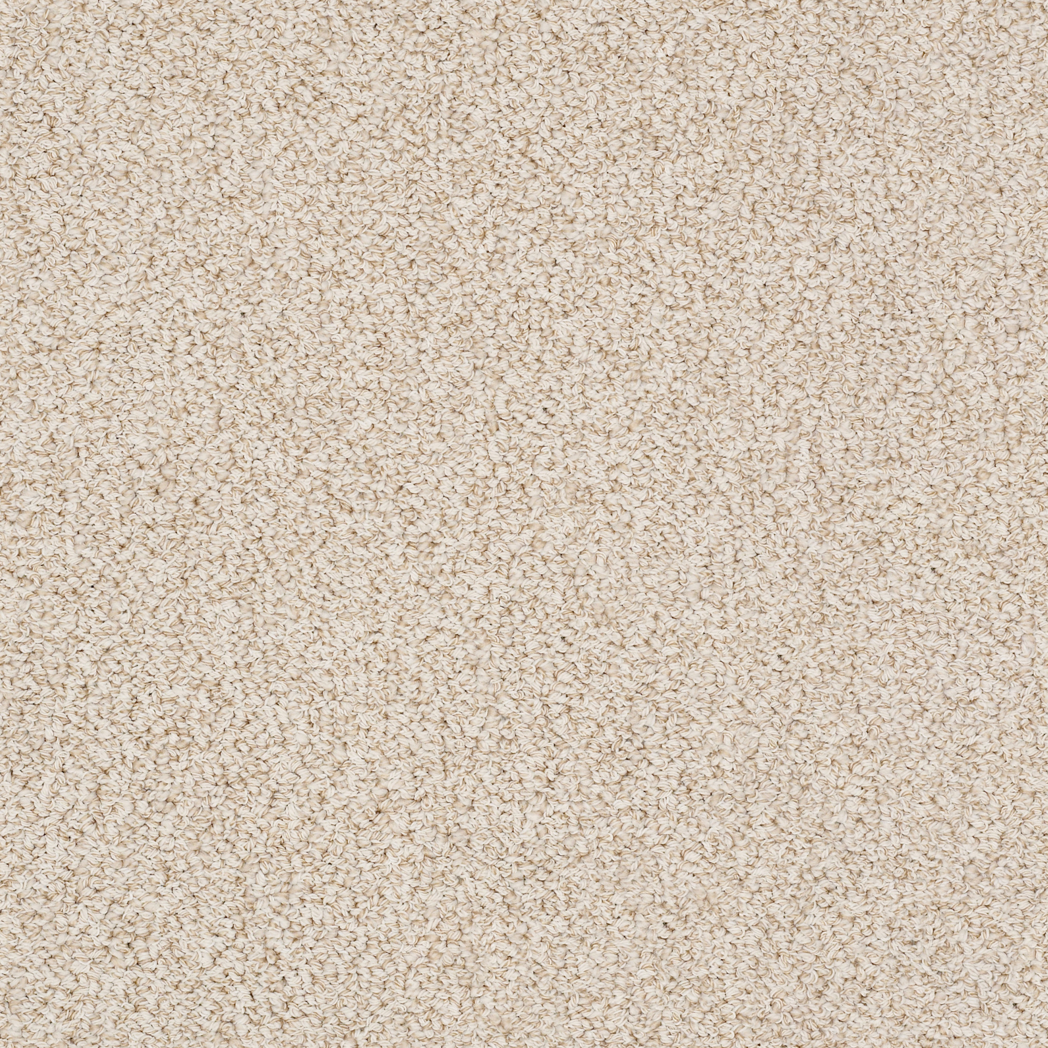 Hathaway-Birch-ZZB37_00162