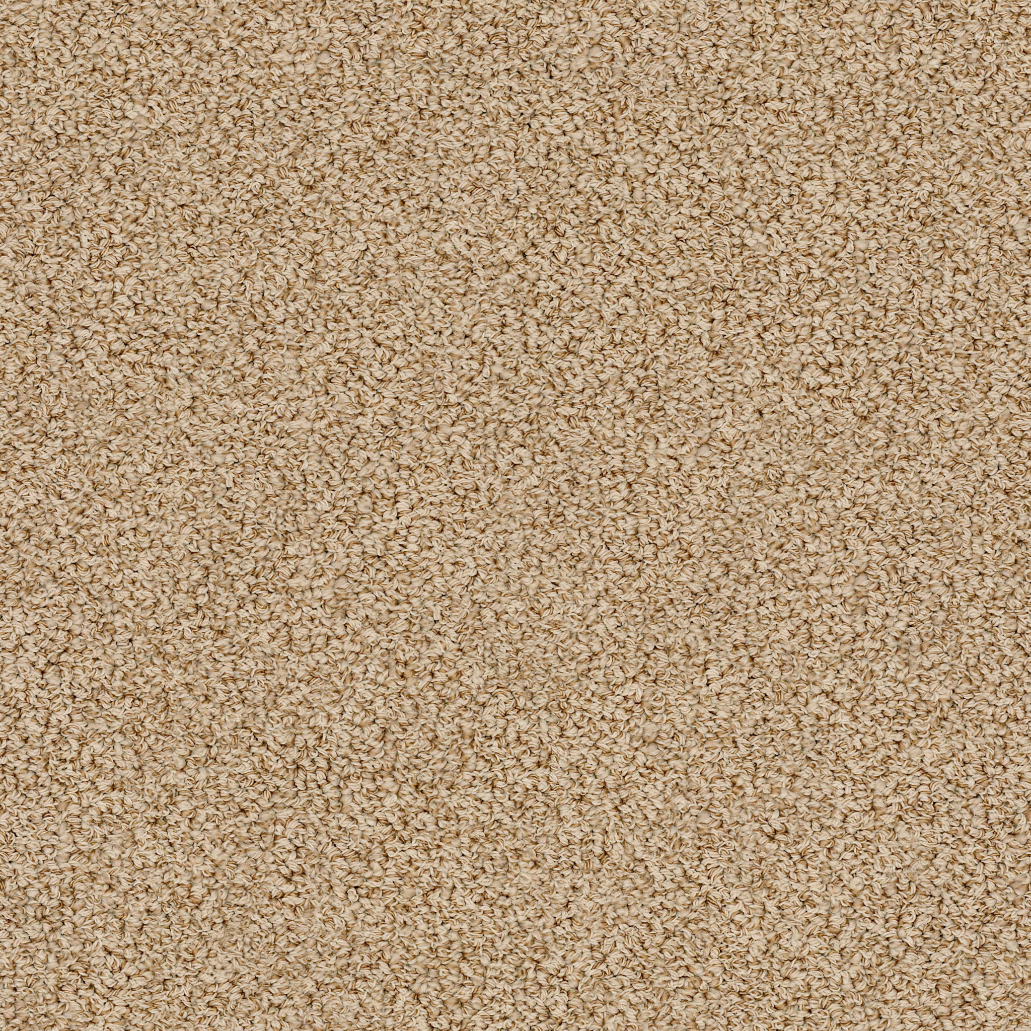 Hathaway-Amber Dawn-ZZB37_00226