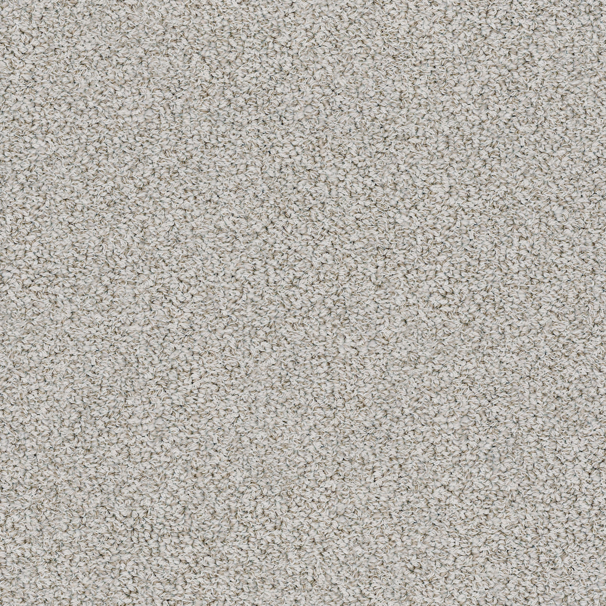 Hathaway-Wisp-ZZB37_00512