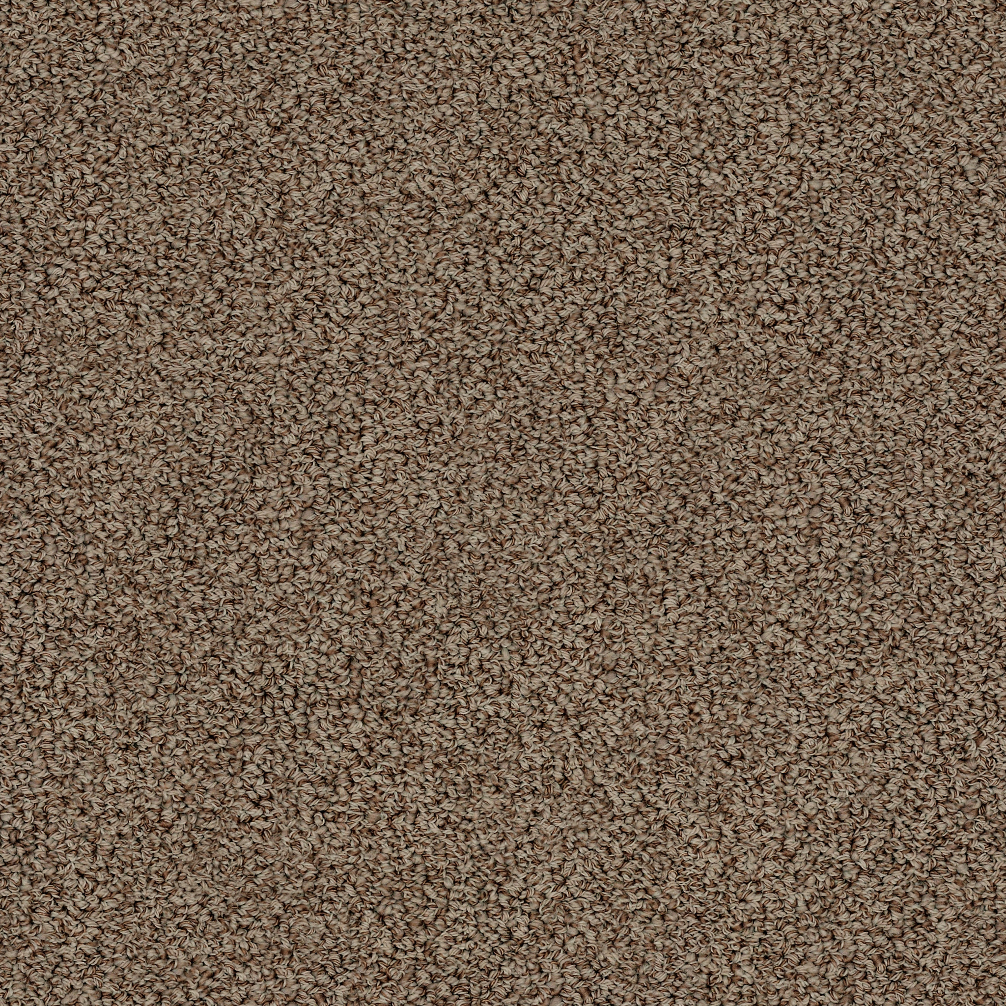 Hathaway-Rocky Ridge-ZZB37_00736