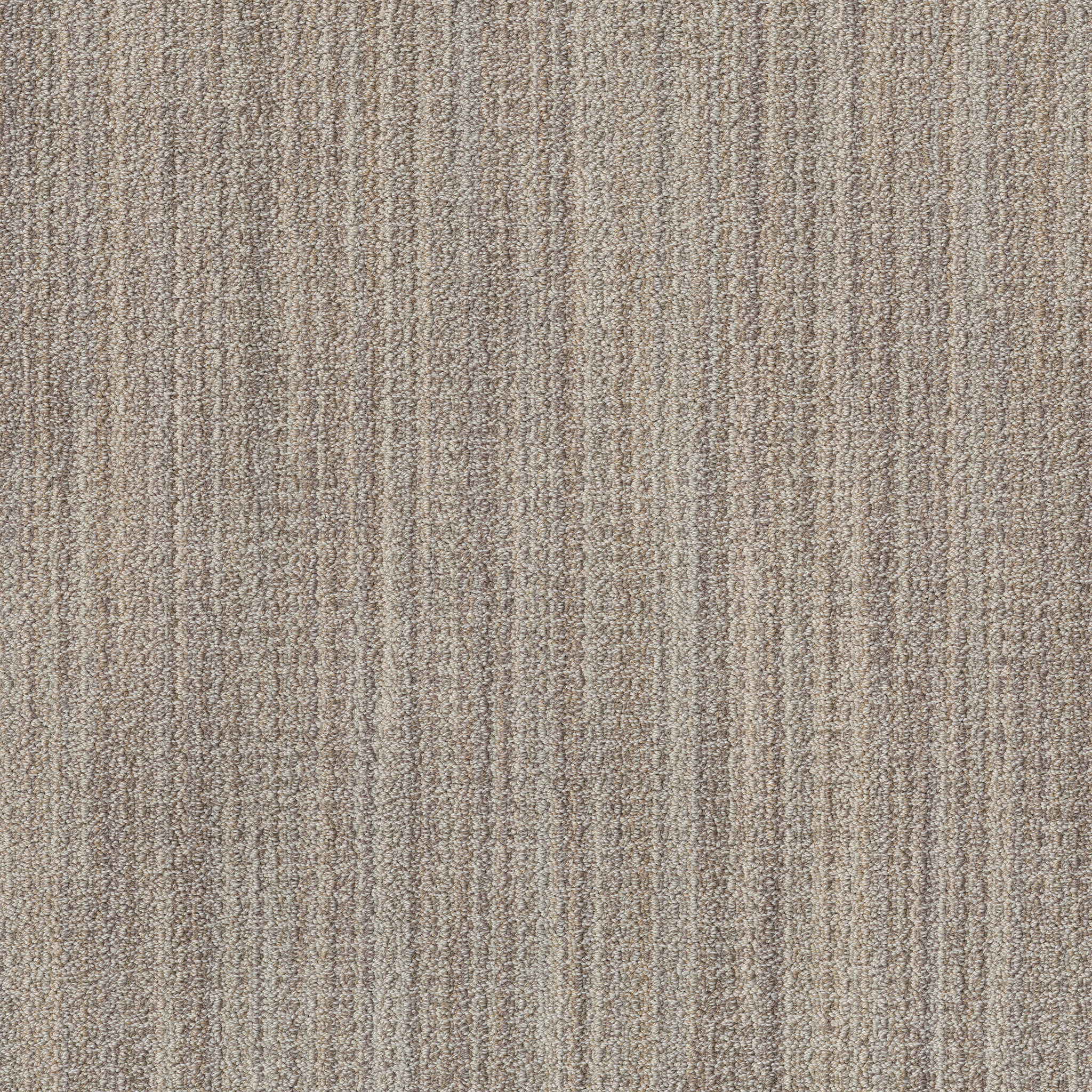 Sitara ZZB39 00123 | Shaw Builder Flooring