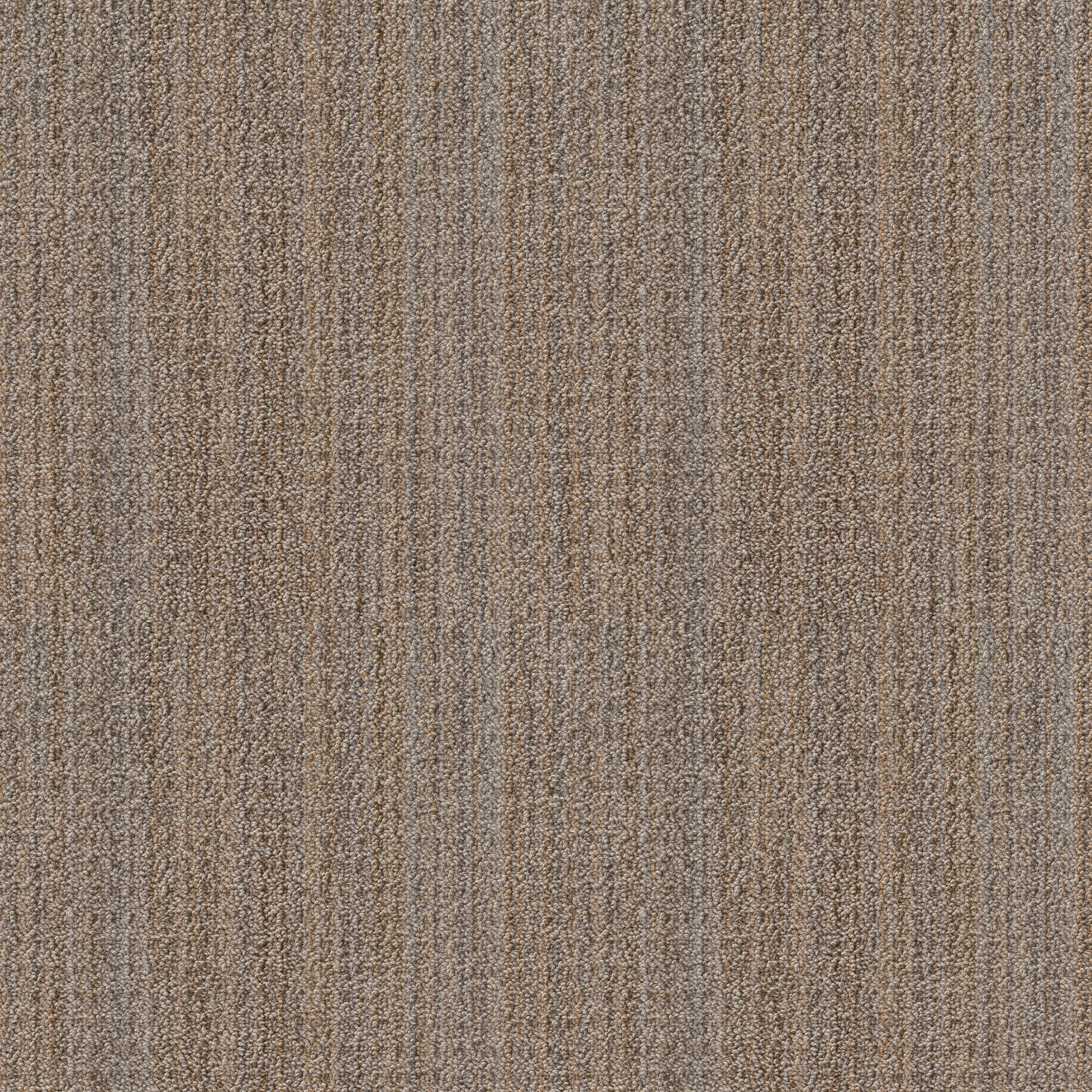 Sitara ZZB39 00724 | Shaw Builder Flooring