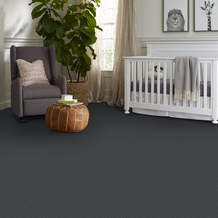 rancho_hill_ii - ink | carpets | zzb40-00449 | Shaw Builder rancho_hill_ii - ink | carpets | zzb40-00449 | Shaw Builder