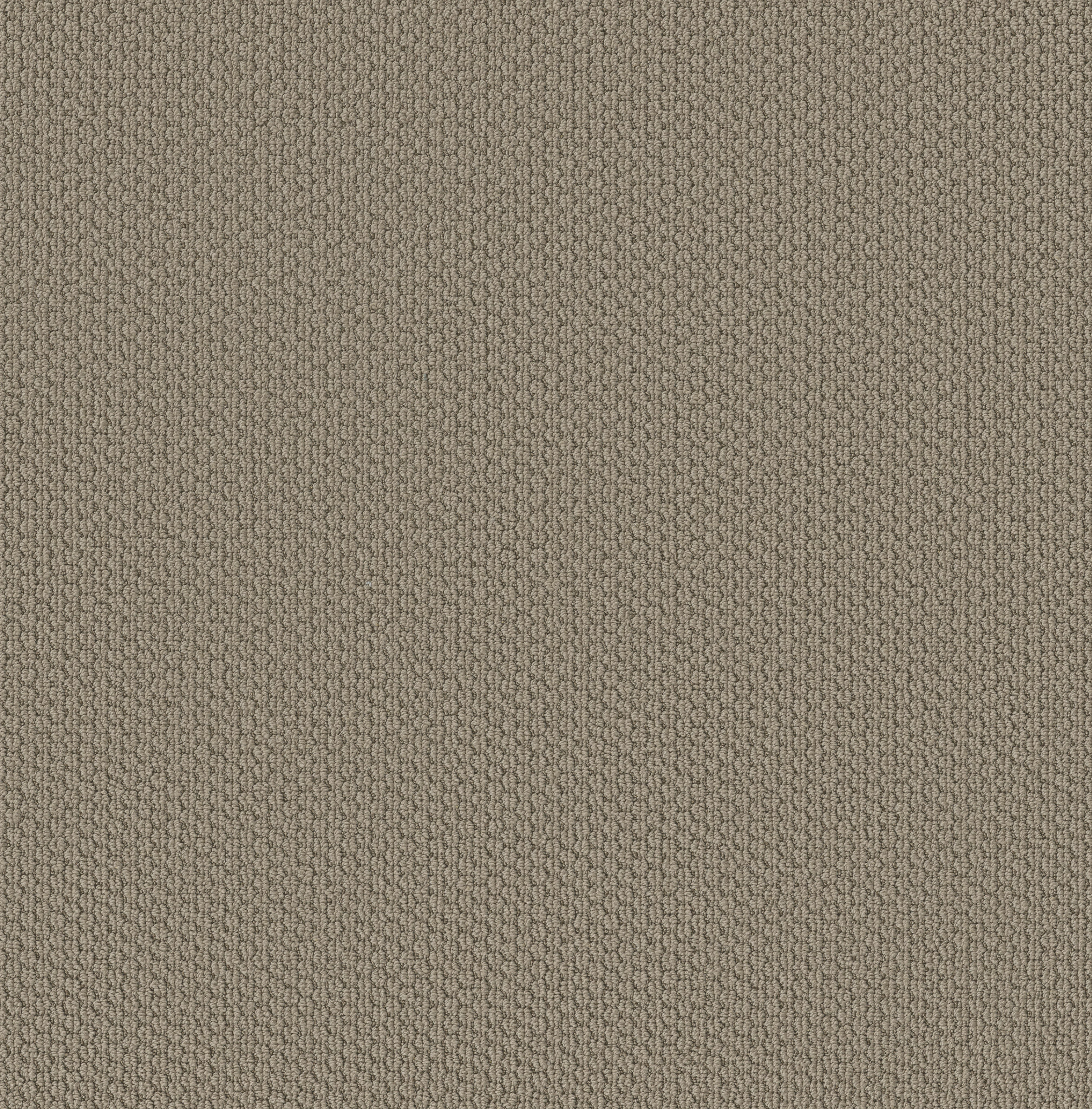 Taupe Tone