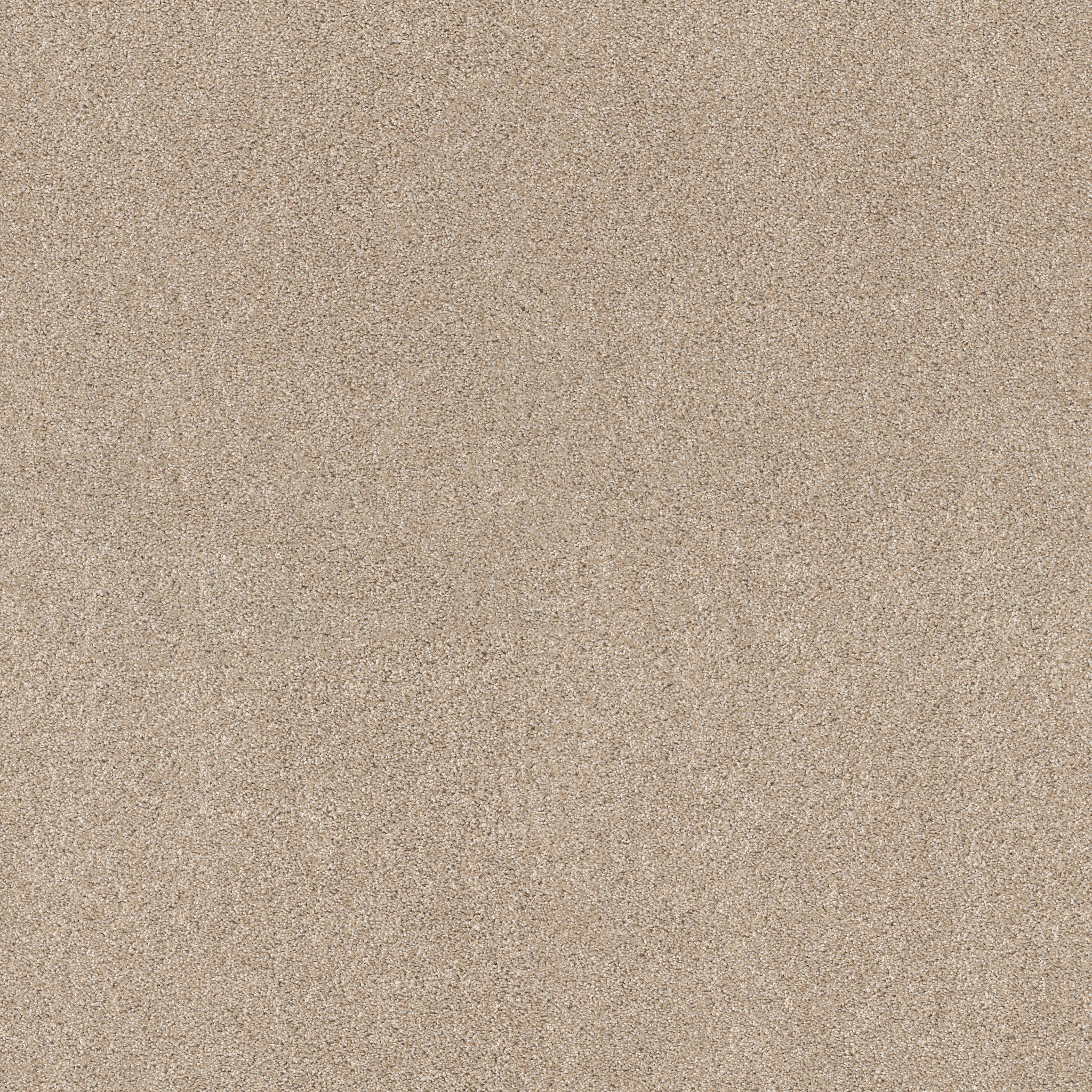 Charter Oaks - Delicate - ZZB43_00113