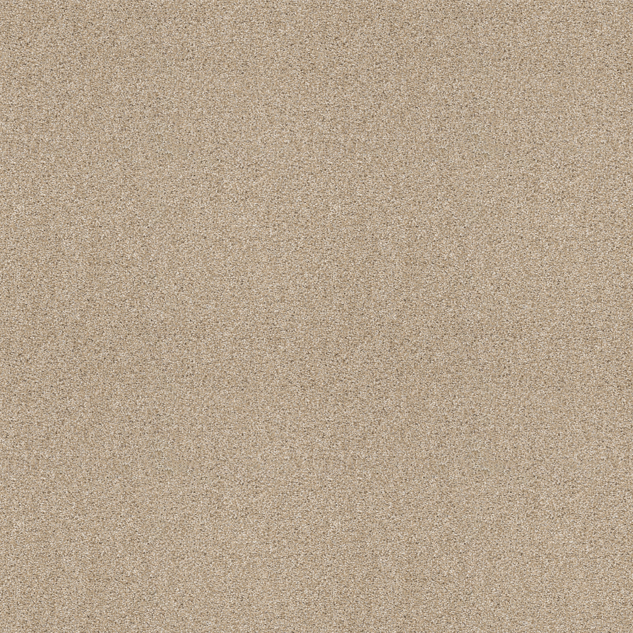 Charter Oaks - Softer Tan - ZZB43_00123