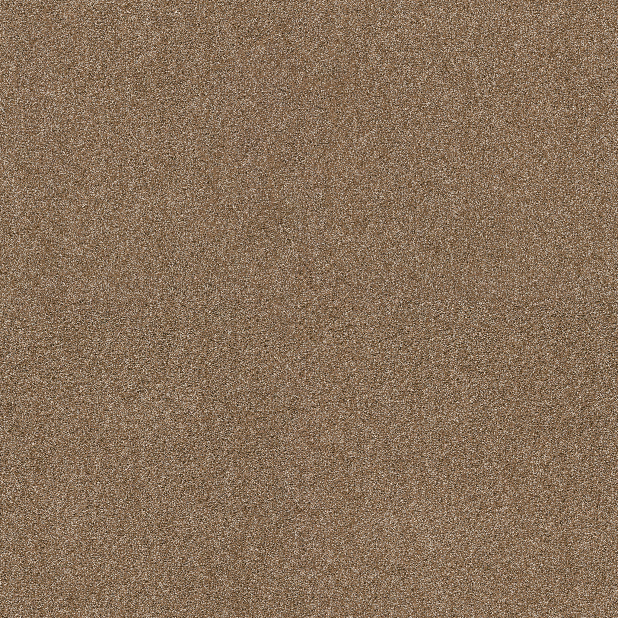 Charter Oaks-Saddle-ZZB43_00228