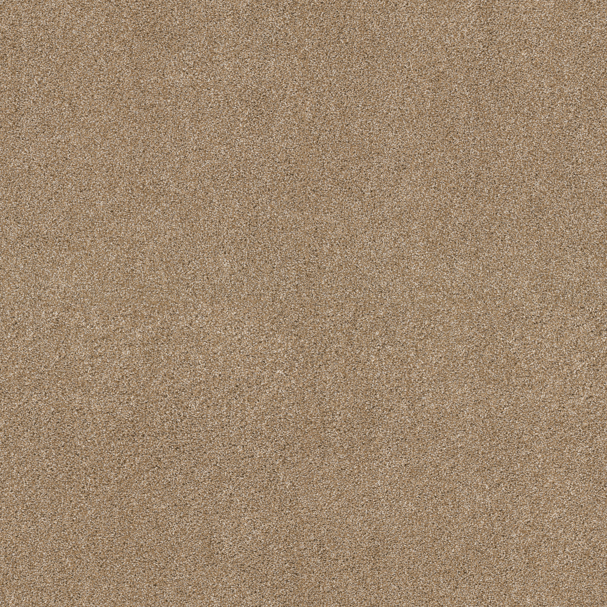 Charter Oaks-Farro-ZZB43_00237