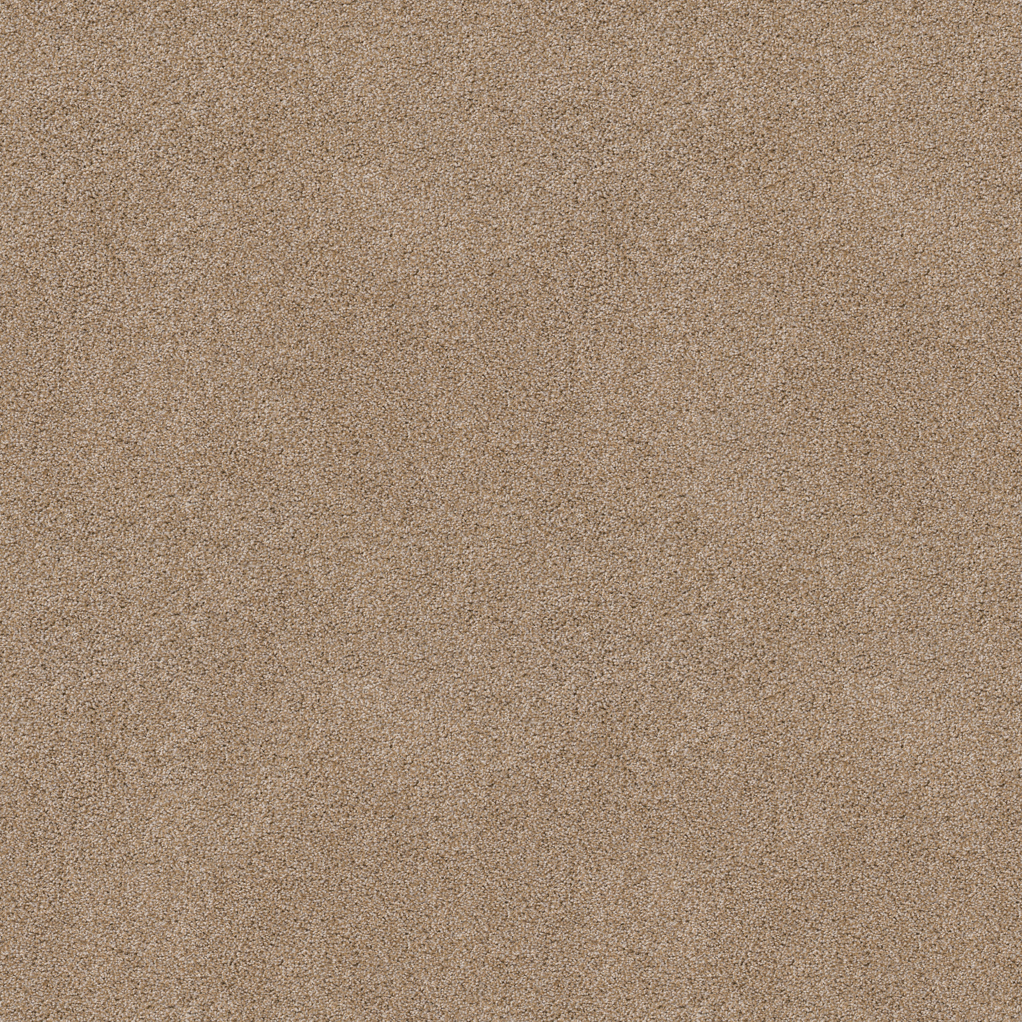 Charter Oaks-Wicker-ZZB43_00273