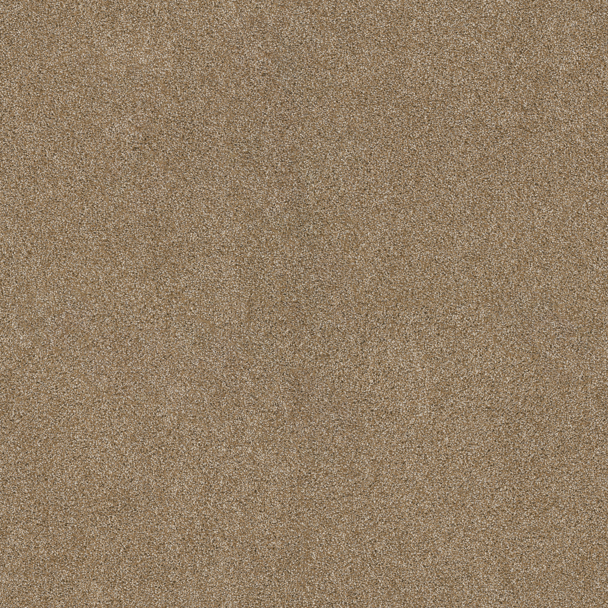 Charter Oaks - Caramelo - ZZB43_00275