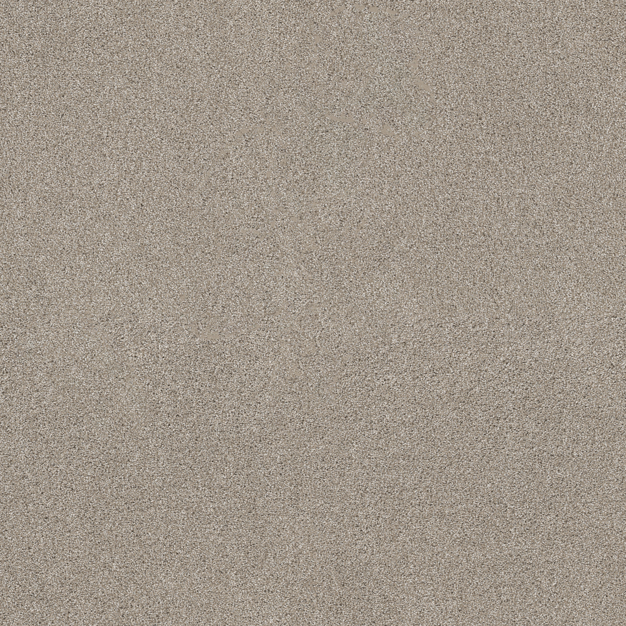 Charter Oaks-Shale-ZZB43_00512